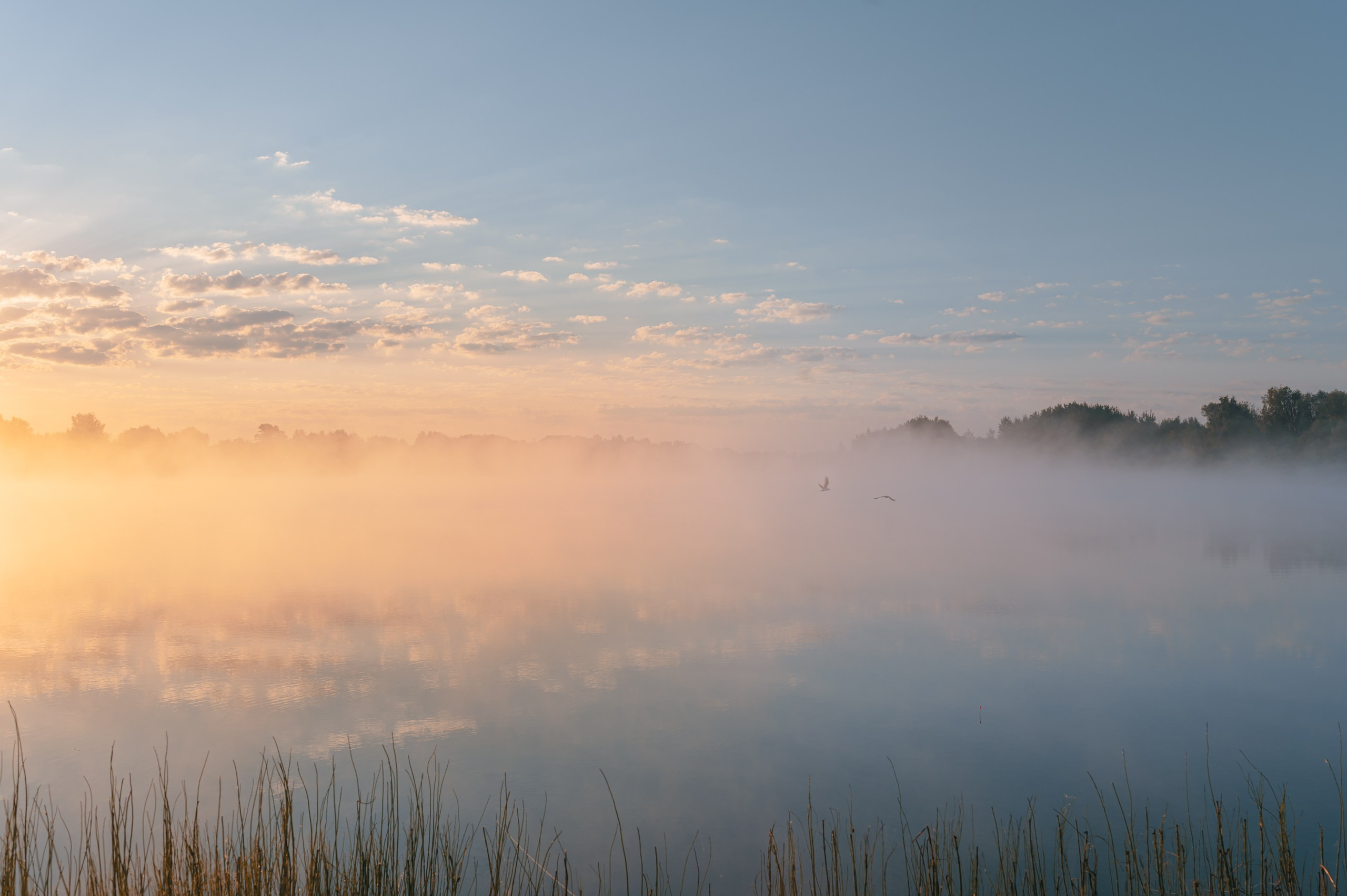 Невидимый спектр. Komonev
