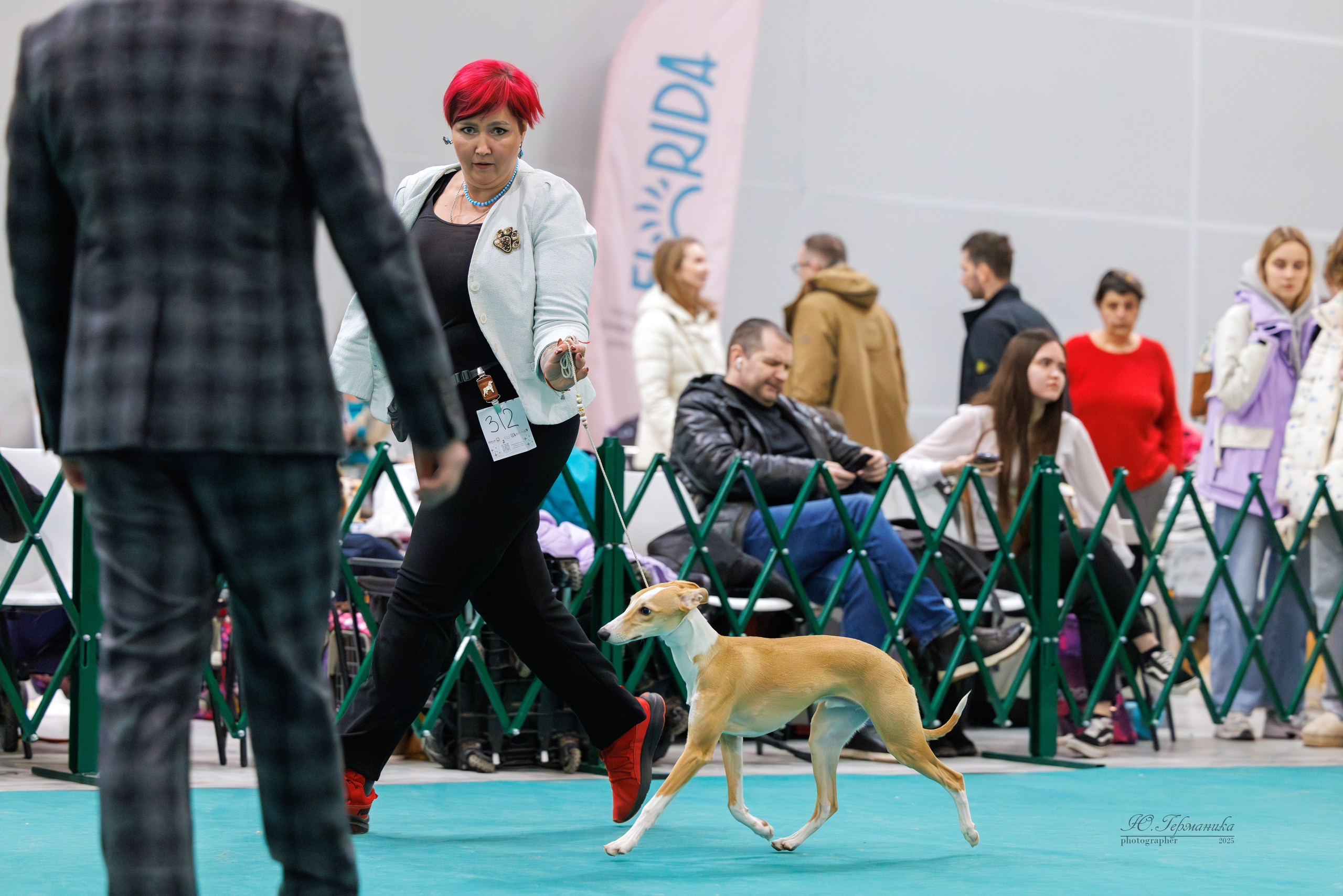 Гран-При 8.02.2025 и Крокус 09.02.2025. Фотограф-анималист Юлия Германика