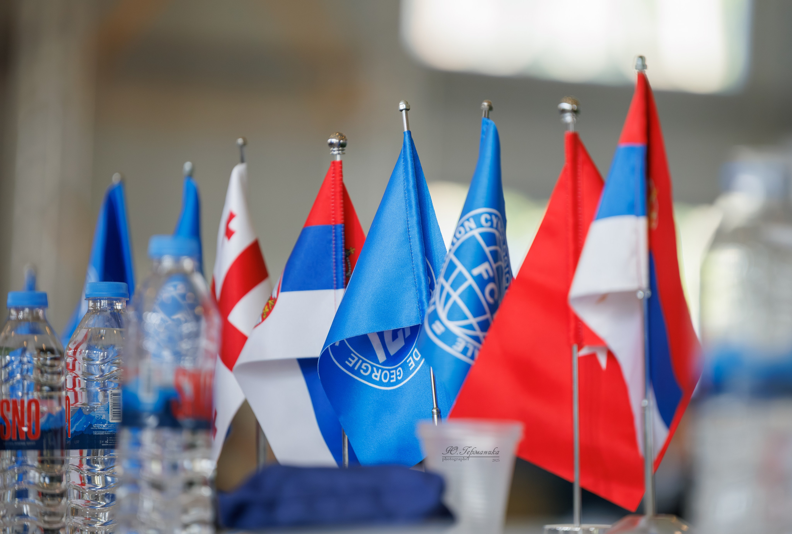 Батуми 3хCACIB 27-29.06.2025. Фотограф-анималист Юлия Германика