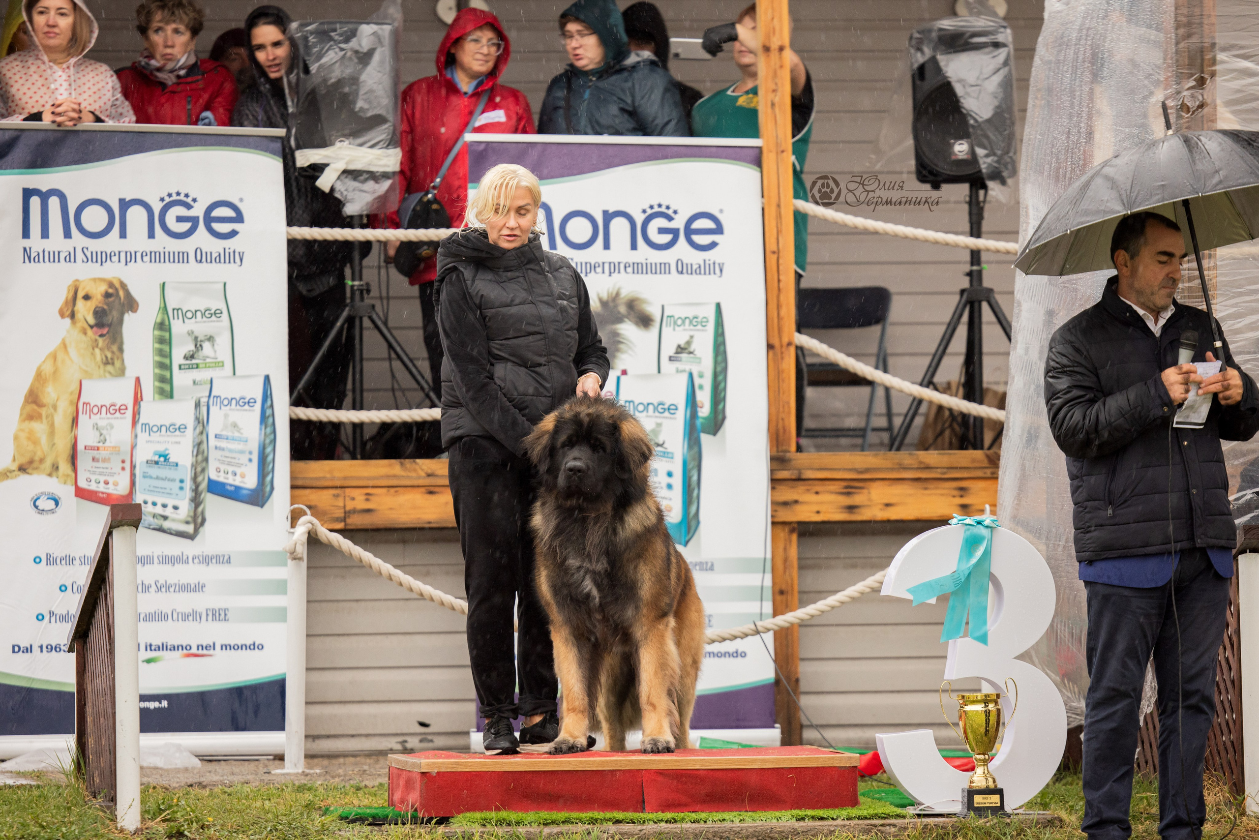 Армения,Ереван 3хCACIB 15-17.10.2024. Фотограф-анималист Юлия Германика