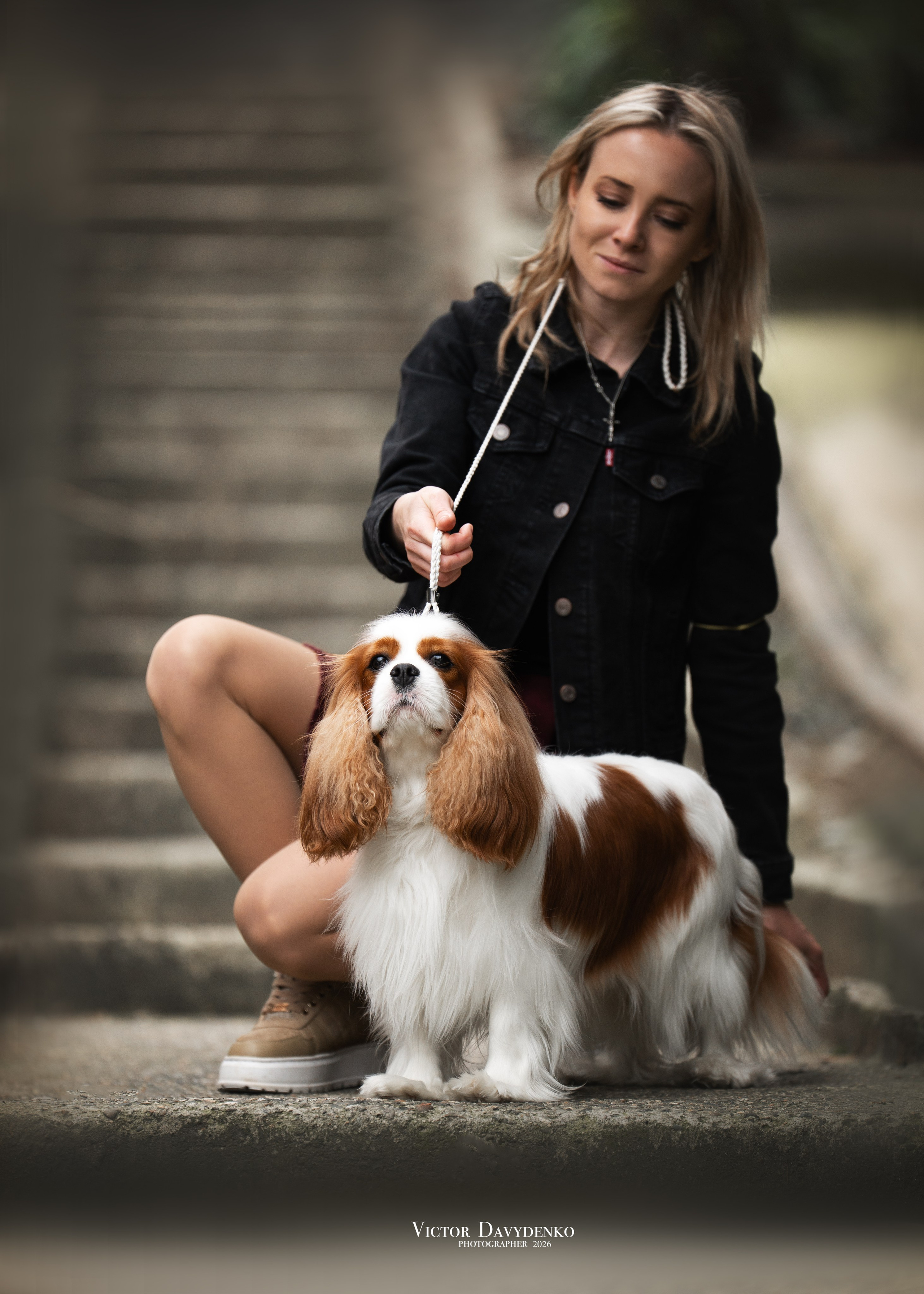  фотограф анималист краснодар выставка собак дог шоу