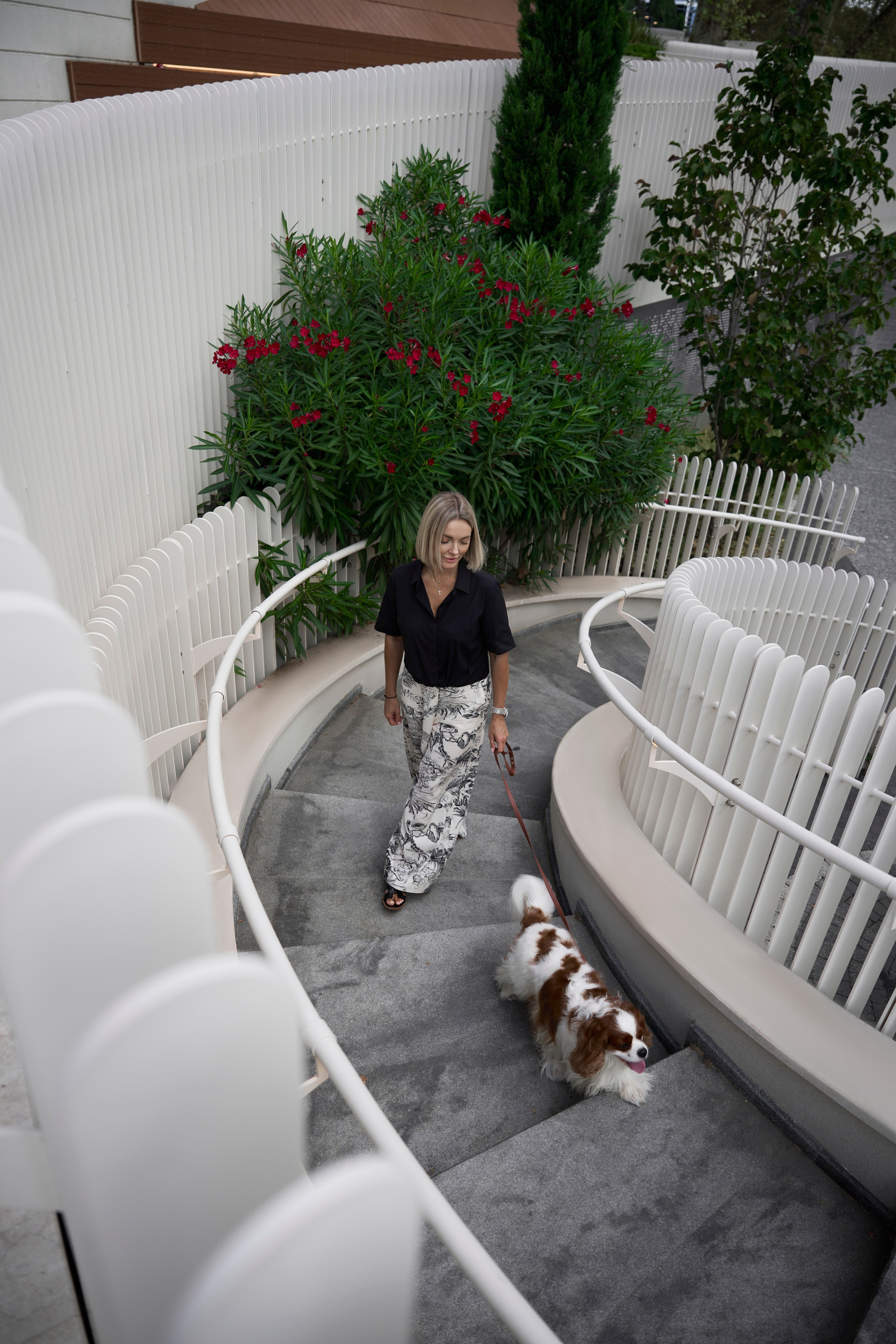 Собаки и люди