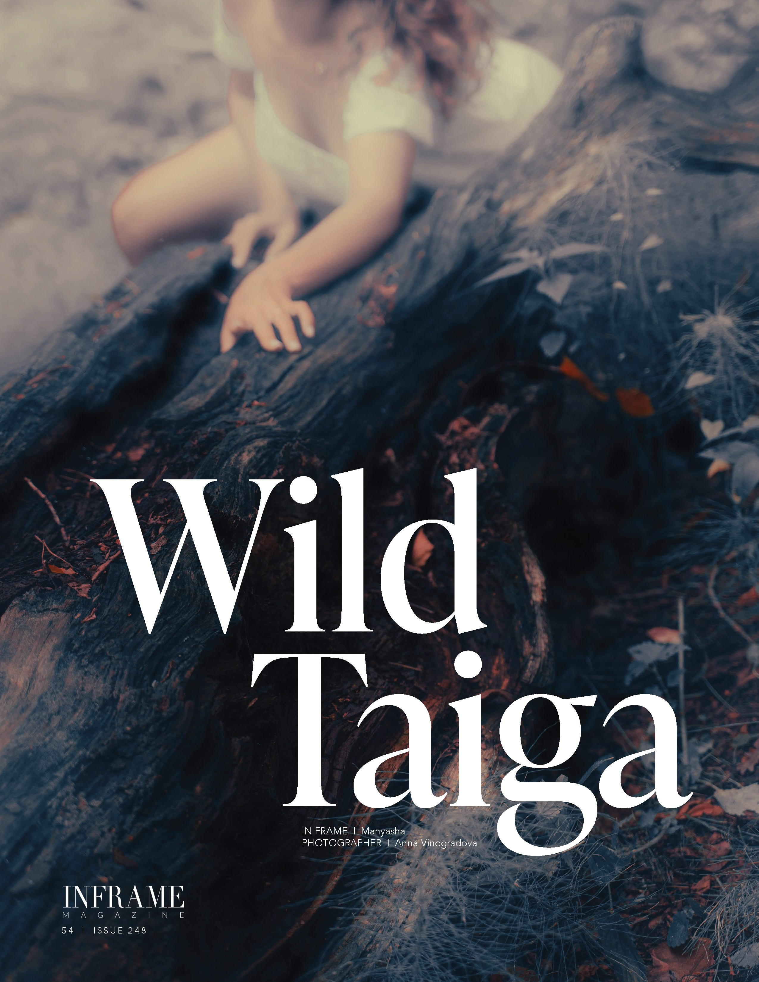 Публикации в журналах. Арт-ню Н.Новгород/Москва