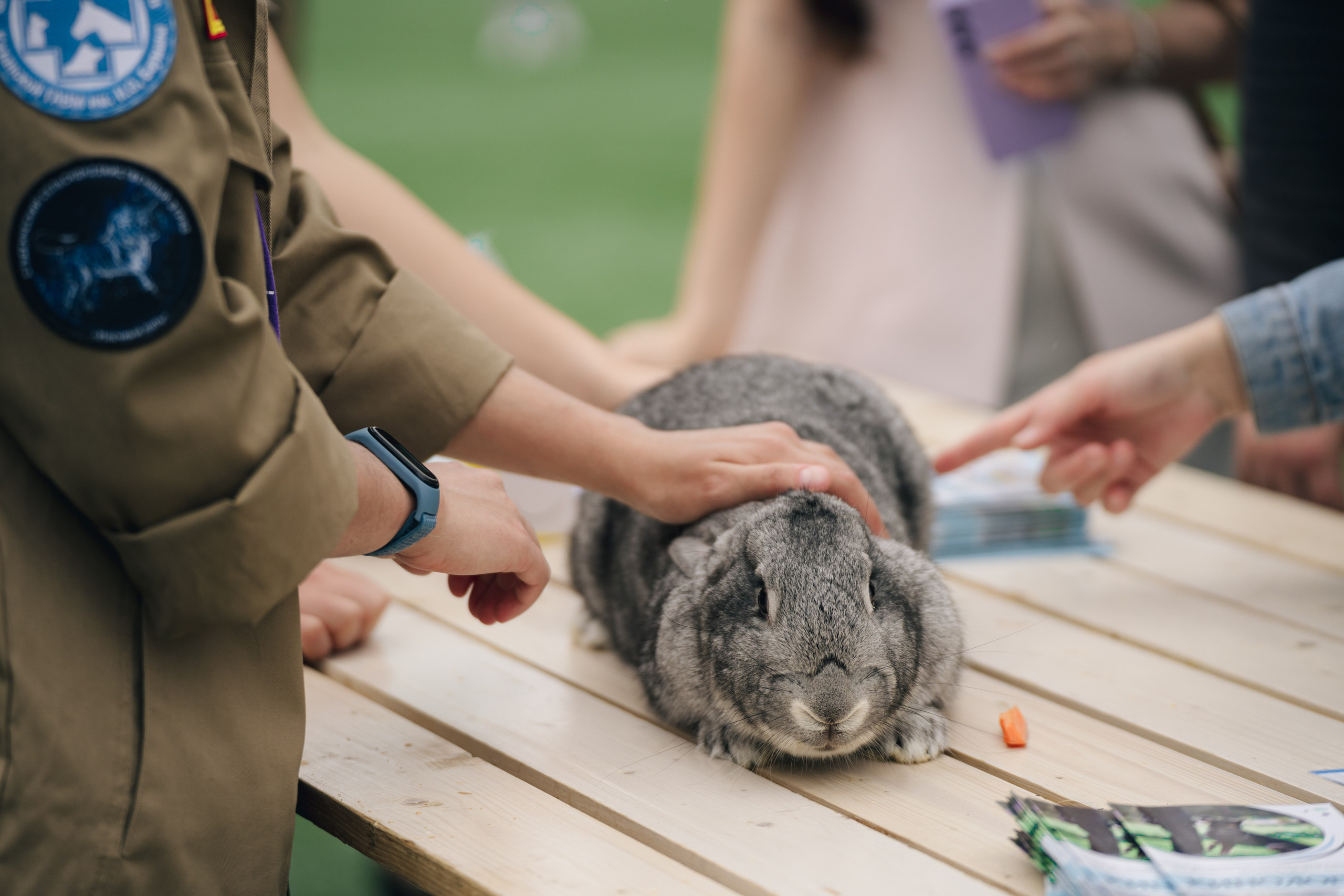 Развитие карьеры ДМ // 2023. Репортажный фотограф в Казани Виктория Трунова
