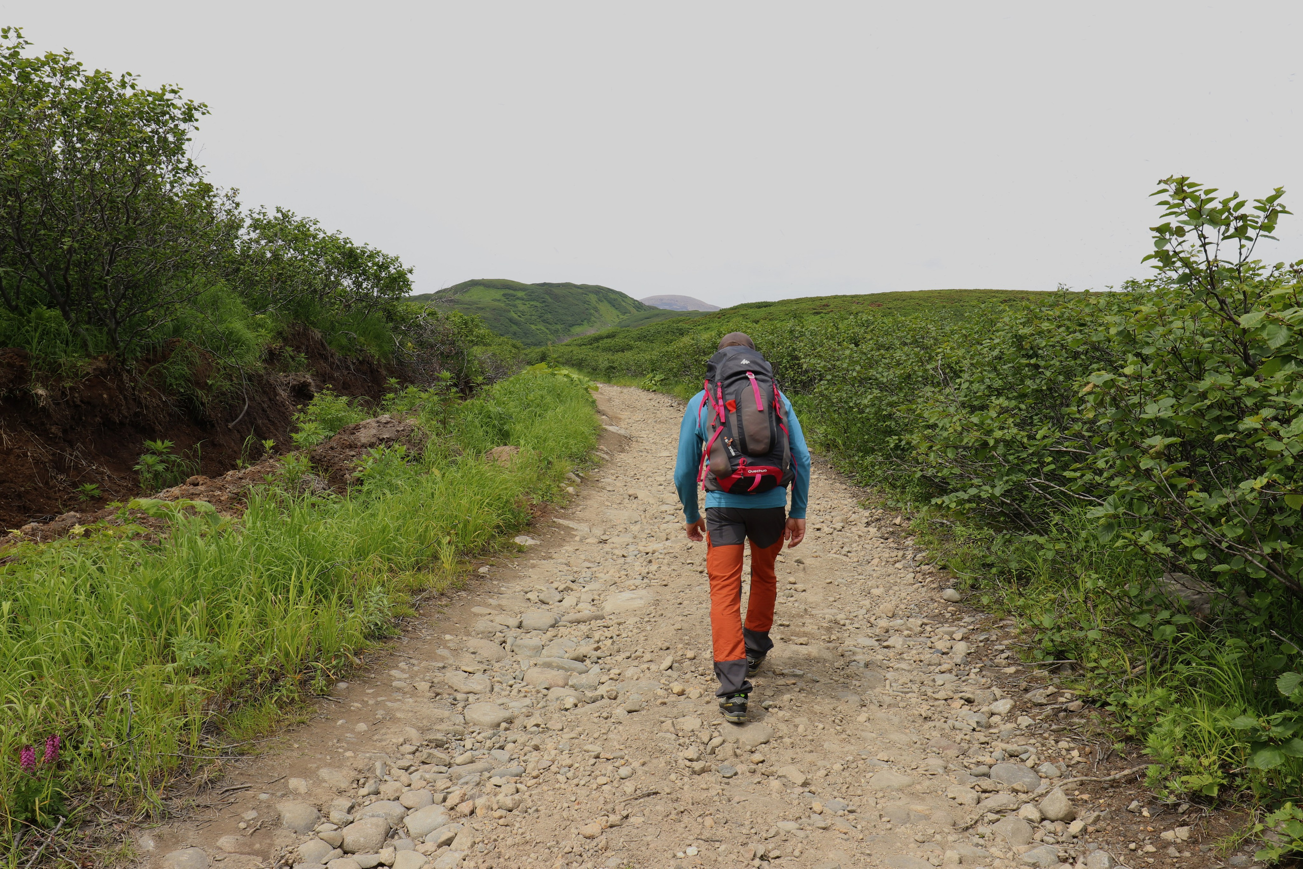 Камчатка и о. Парамушир. Июль 2024. Путешественник-фотограф из Санкт-Петербурга Татьяна Свистулина