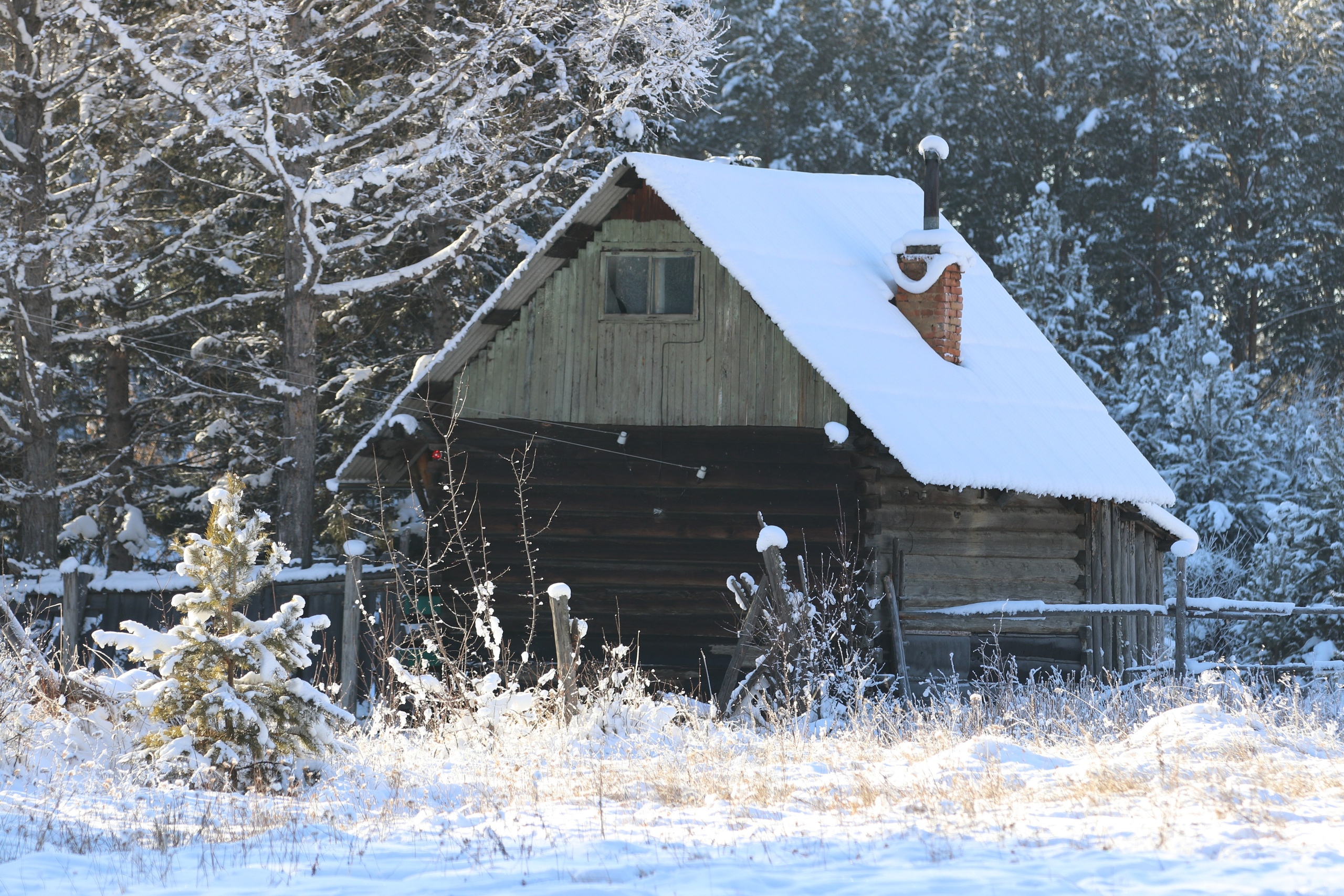 Аршан. Январь 2022. Путешественник-фотограф из Санкт-Петербурга Татьяна Свистулина
