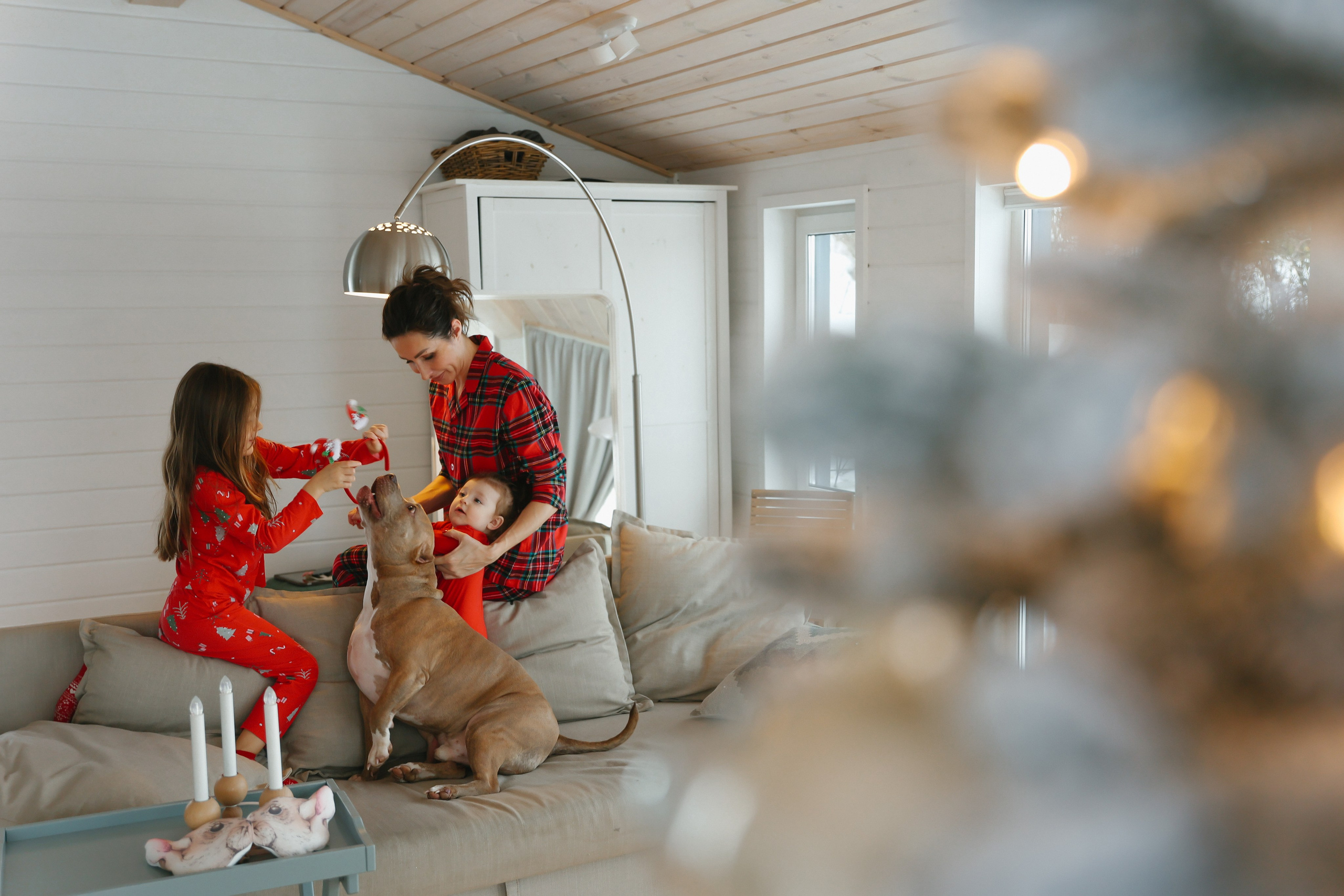 Dasha. Главная