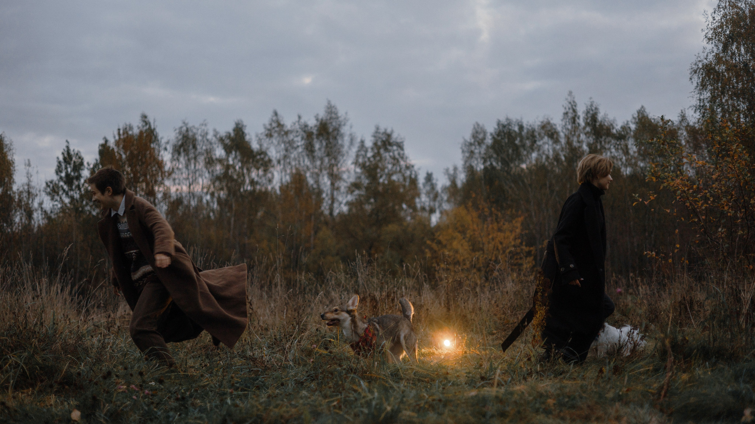 Маша, Катя, Астрид и Мася. Фотограф-анималист Богданова Полина