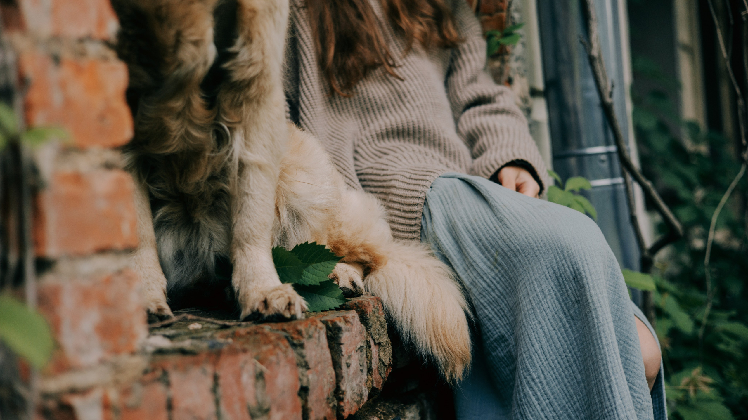 Марина и Чили. Фотограф-анималист Богданова Полина