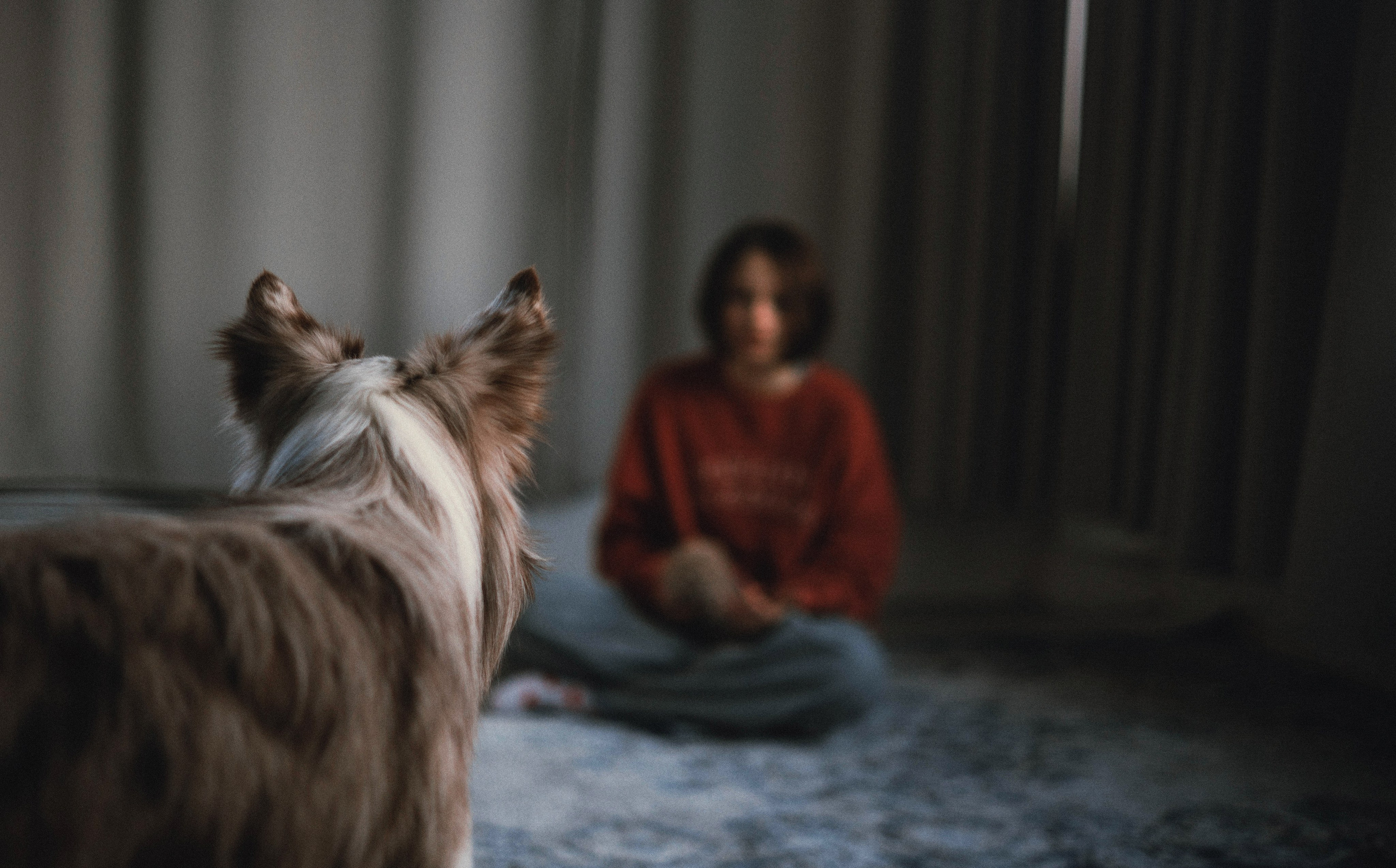 Аня и Дэймон. Фотограф-анималист Богданова Полина