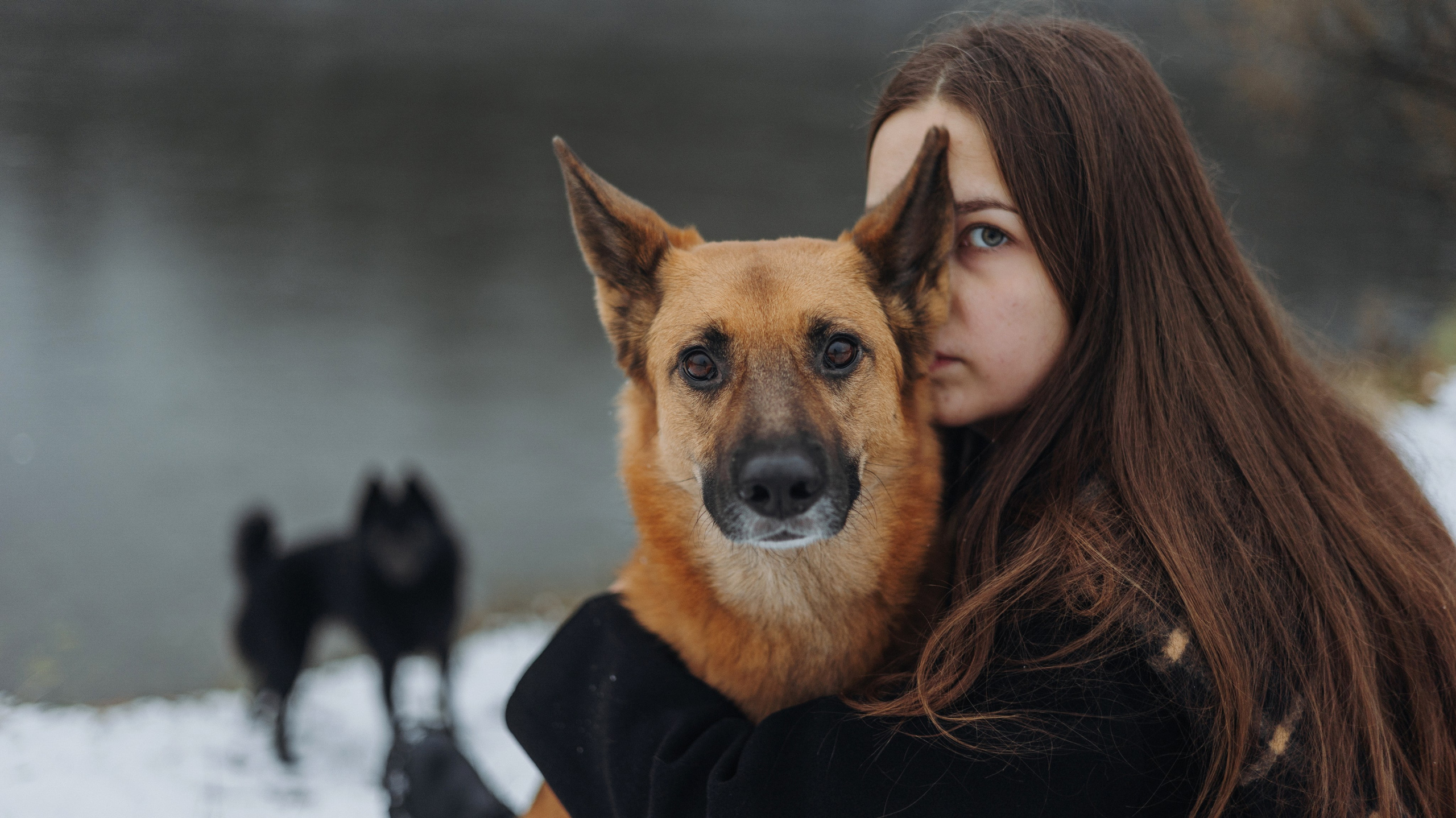 Юля, Лара и Йоми. Фотограф-анималист Богданова Полина