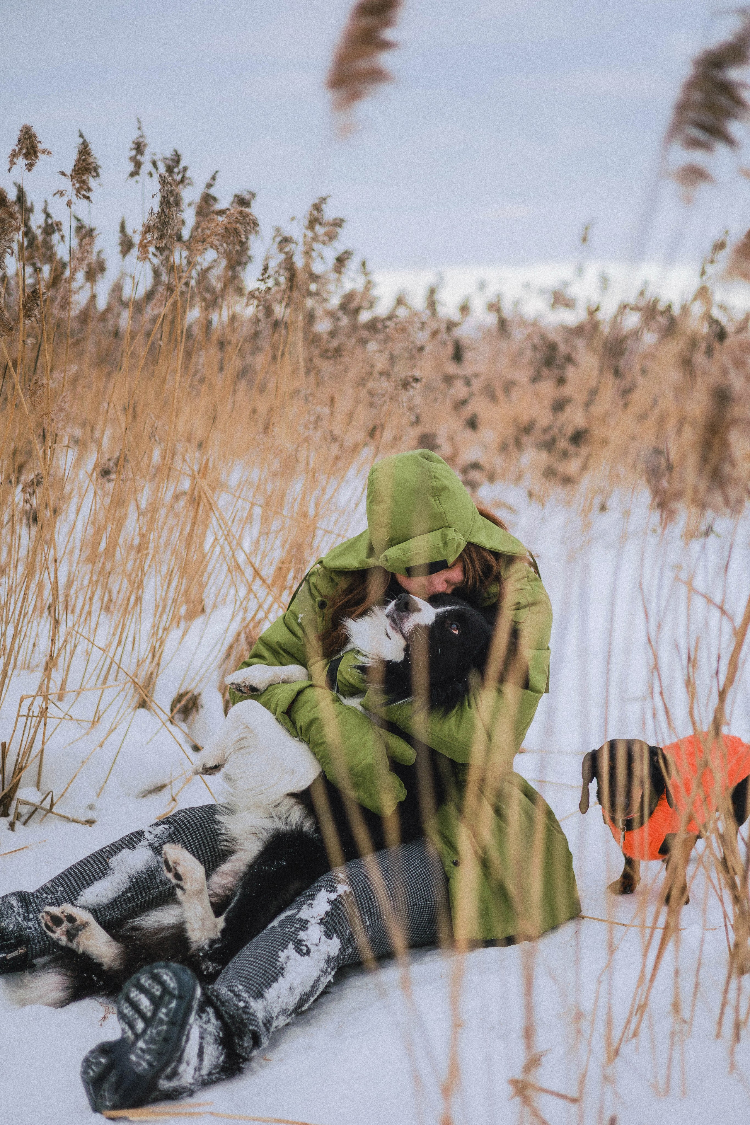 Маша, Рэм и Ньютон. Фотограф-анималист Богданова Полина