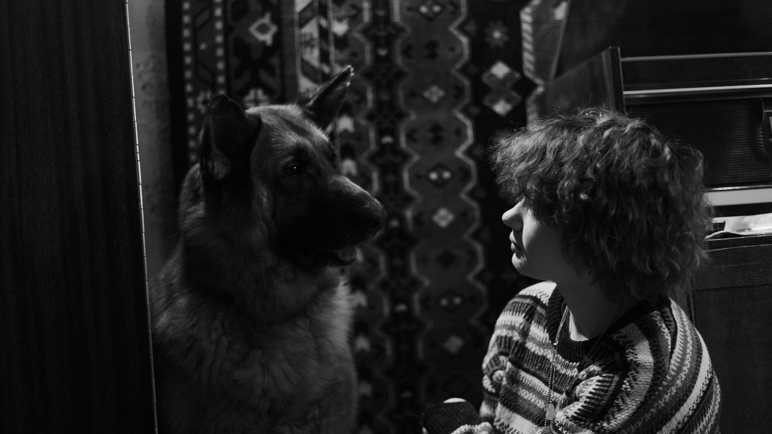 Лера, Реджи и Ральф. Фотограф-анималист Богданова Полина