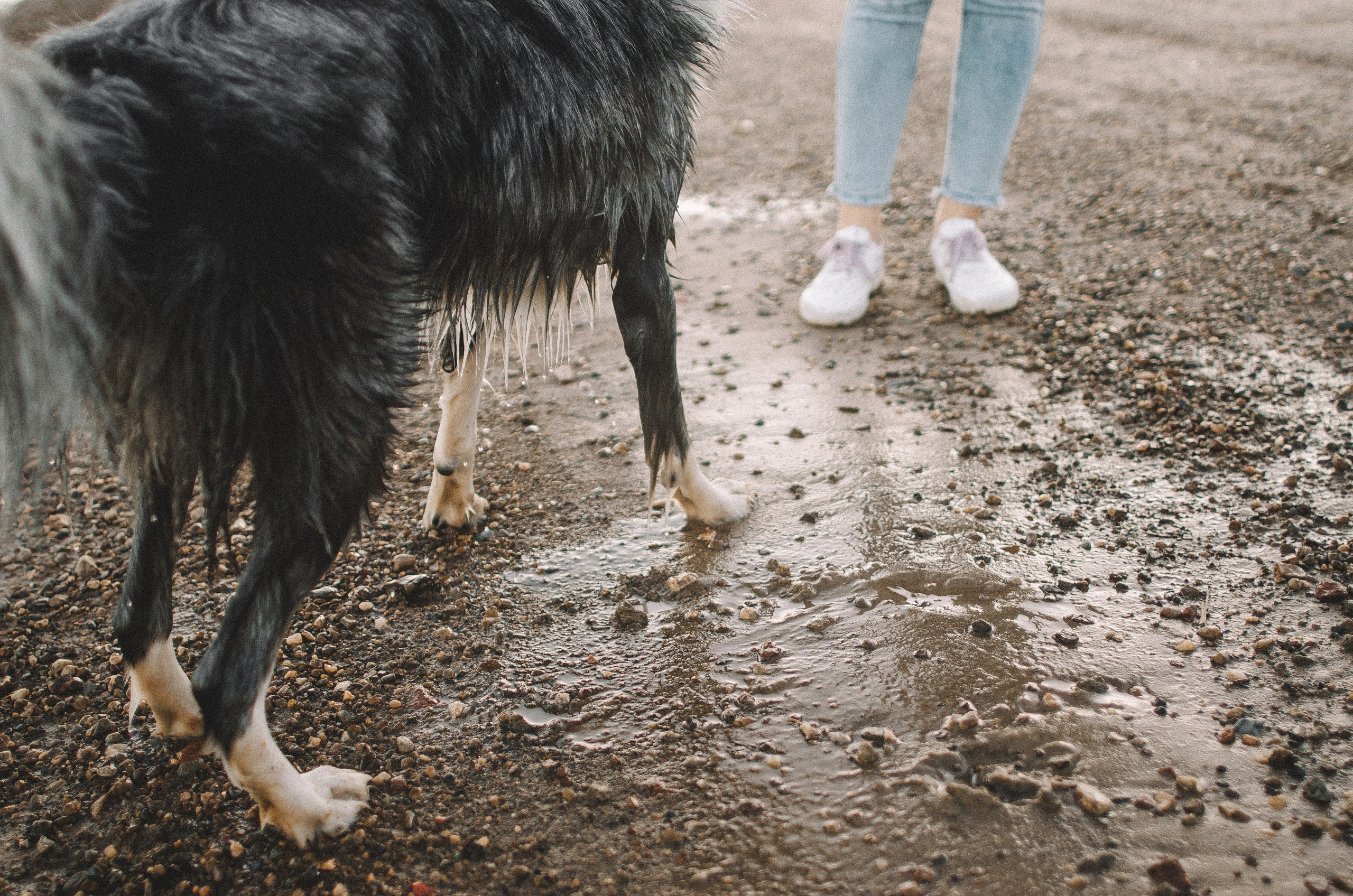 Таня и Бриллиант. Фотограф-анималист Богданова Полина
