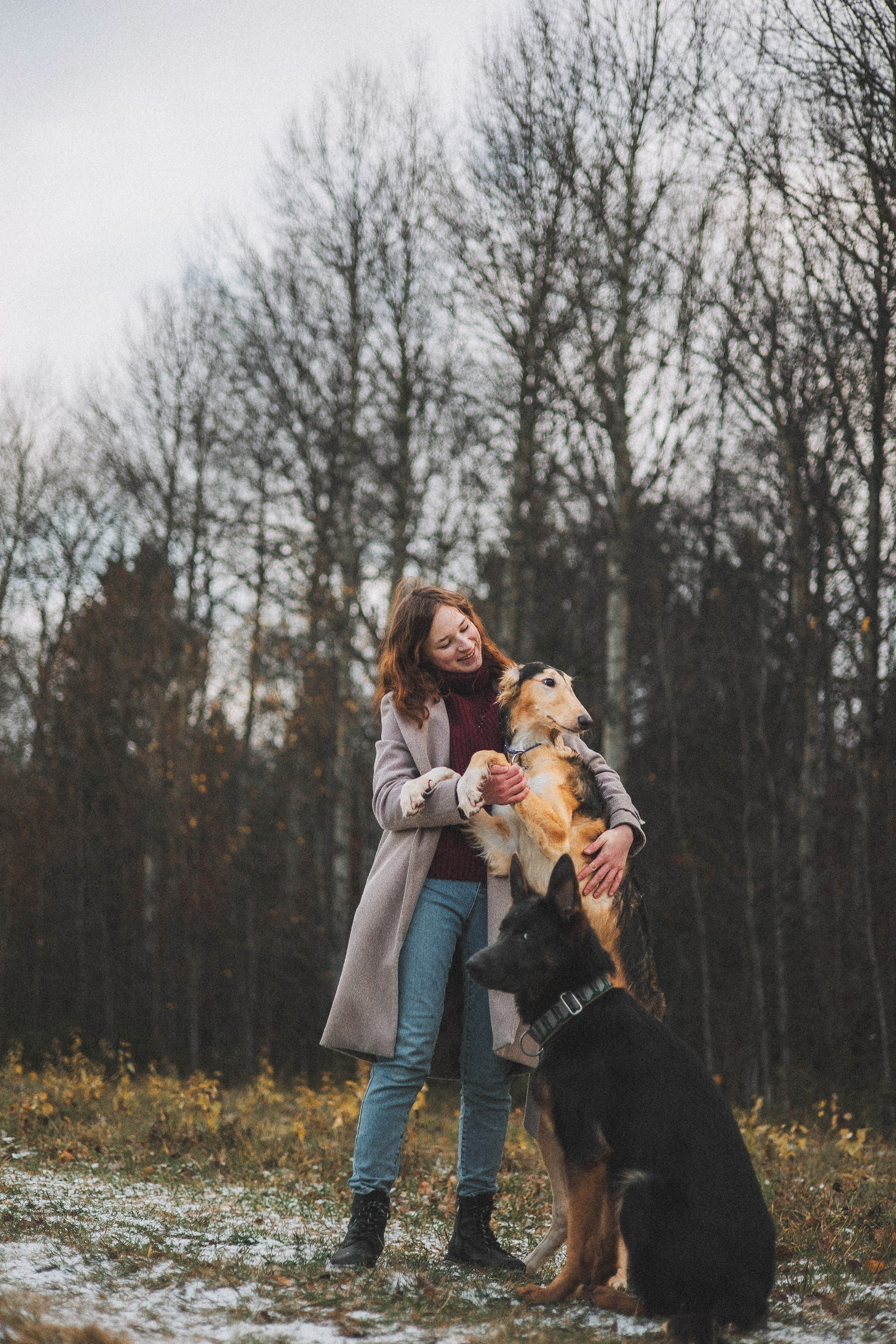 Алена, Леви и Микаса. Фотограф-анималист Богданова Полина