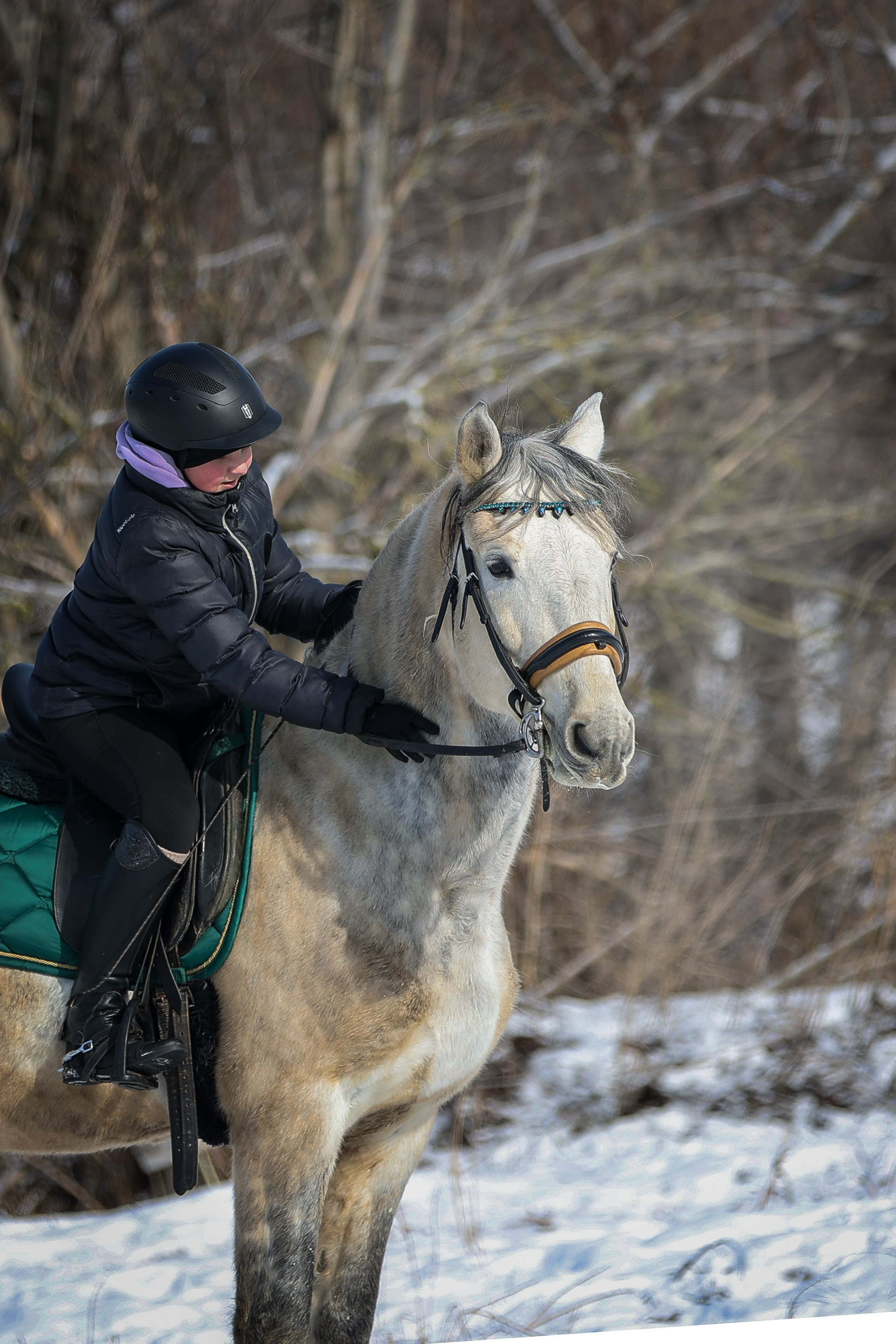 ЛОШАДИ. Фотограф-АниМалист Анна Абрамова