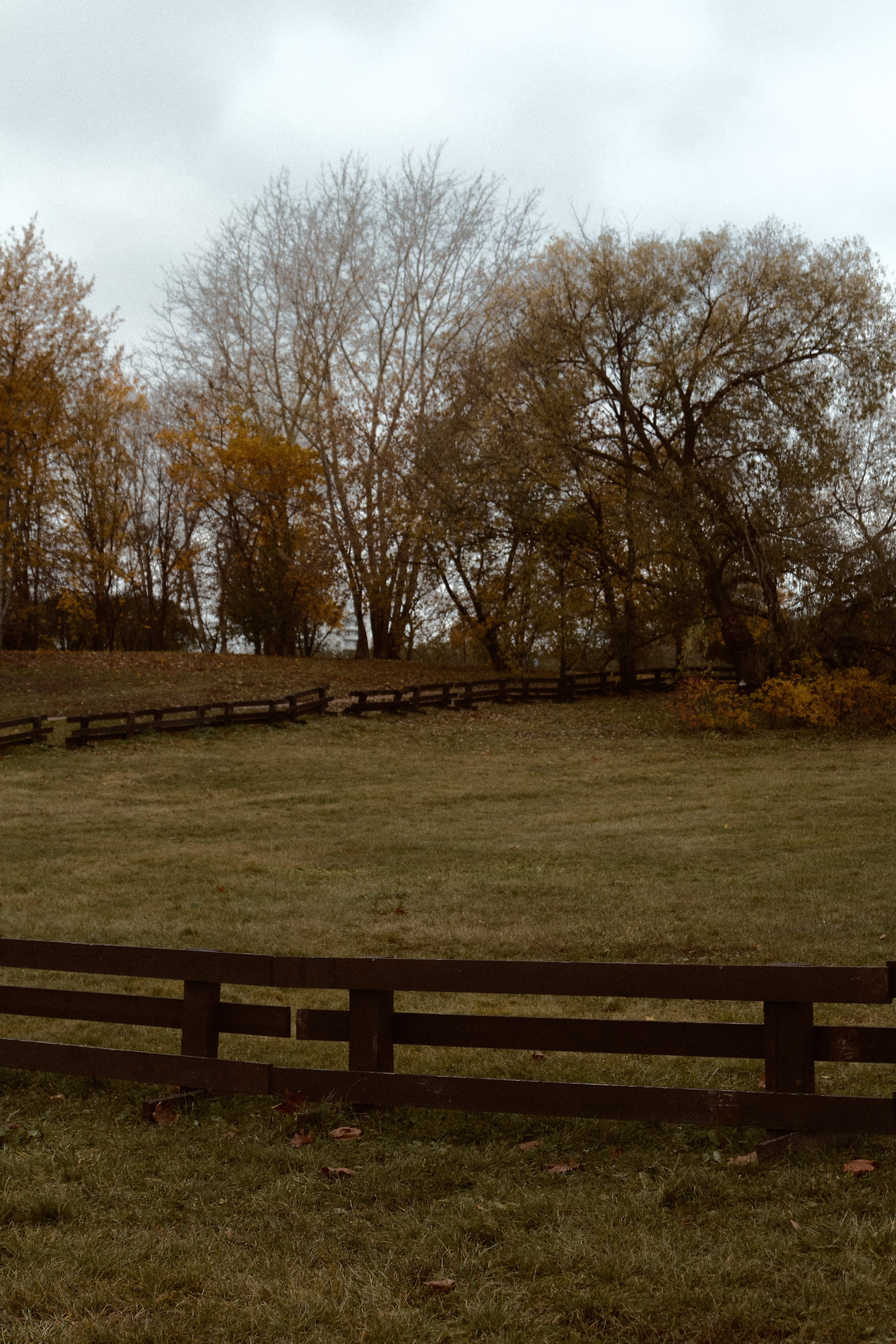 Юлия и Евгений. Фотограф лавстори Москва/МО Приятелева Ангелина