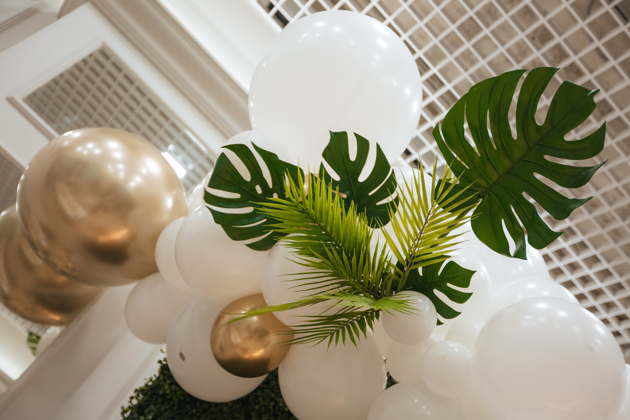 Льву 5 лет!. Семейный фотограф в Санкт-Петербурге Любовь Савкина