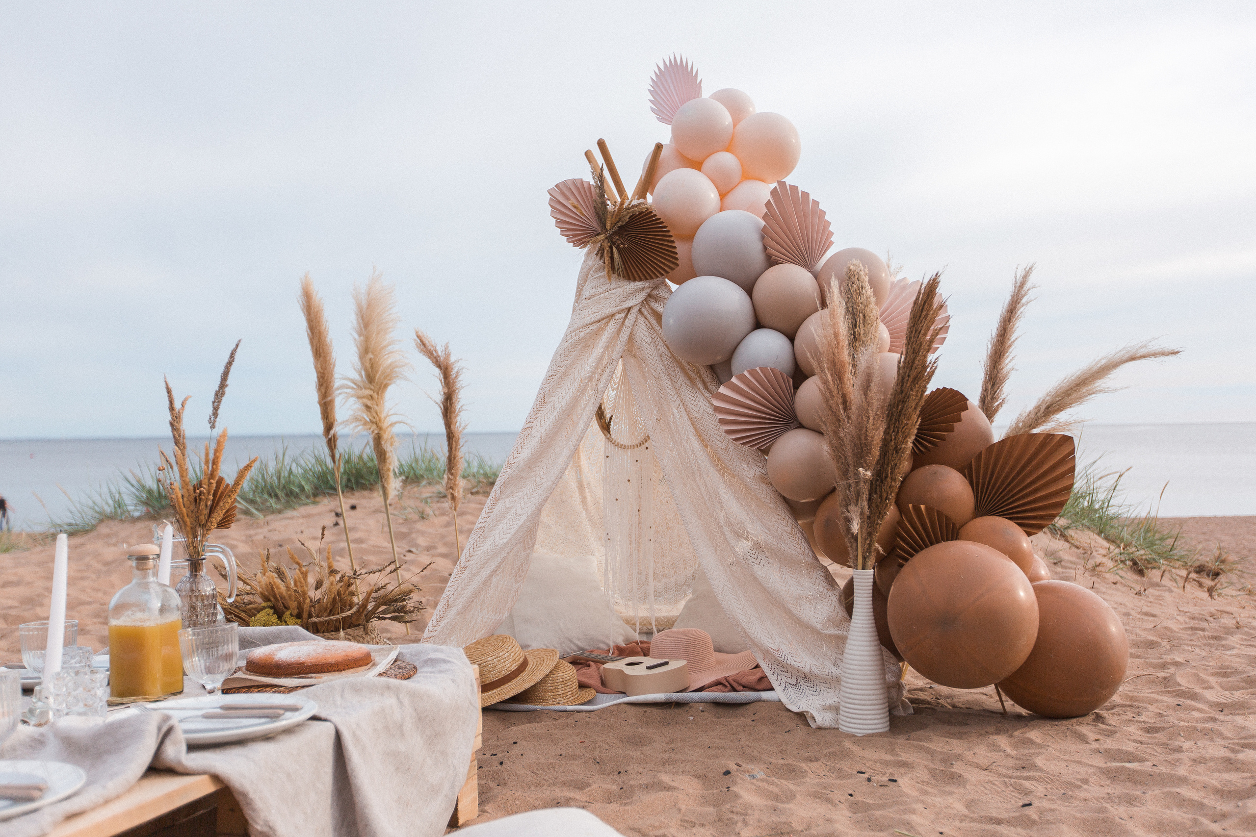 Пикник в стиле Бохо. Семейный фотограф в Санкт-Петербурге Любовь Савкина