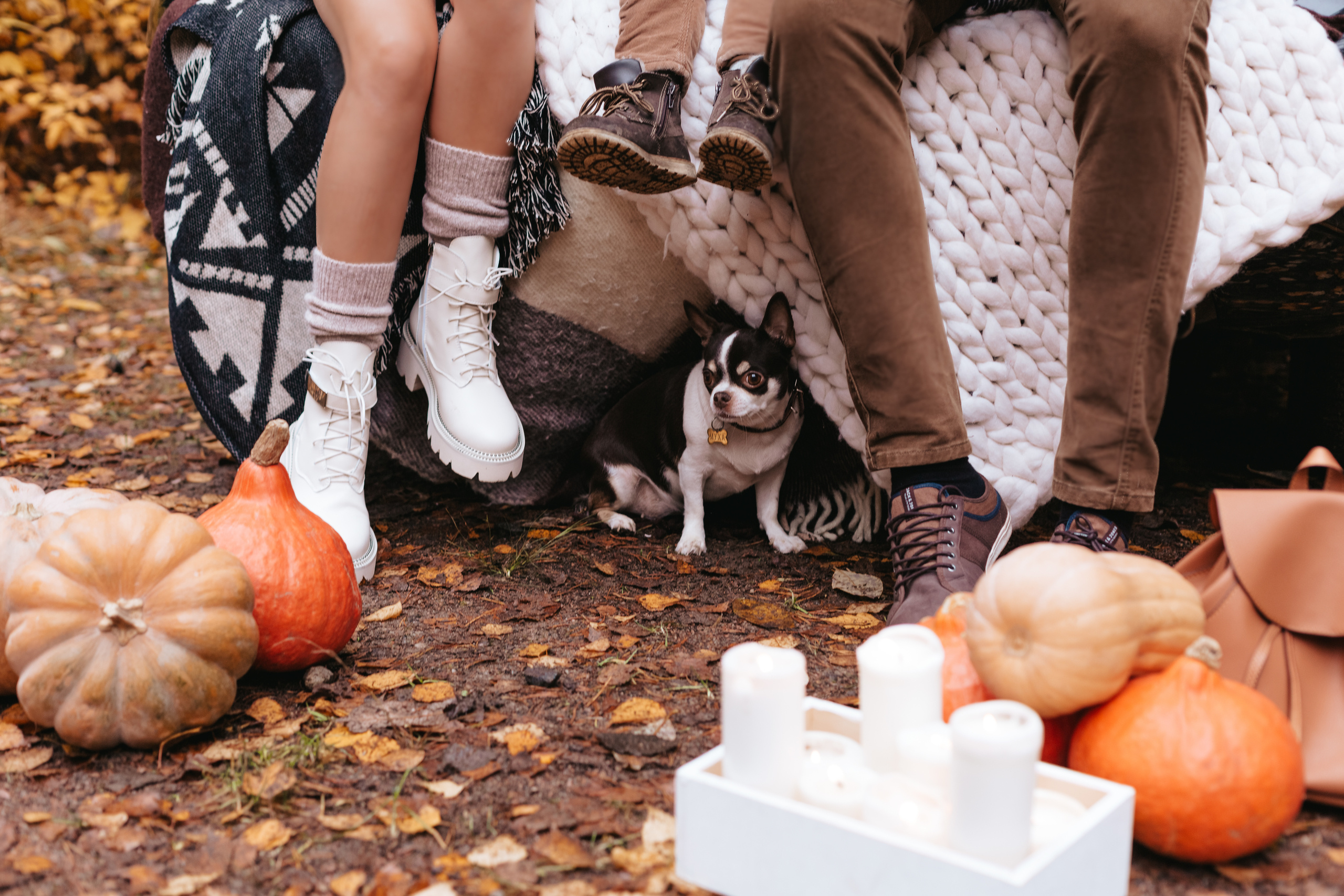 Лесная история!. Семейный фотограф в Санкт-Петербурге Любовь Савкина