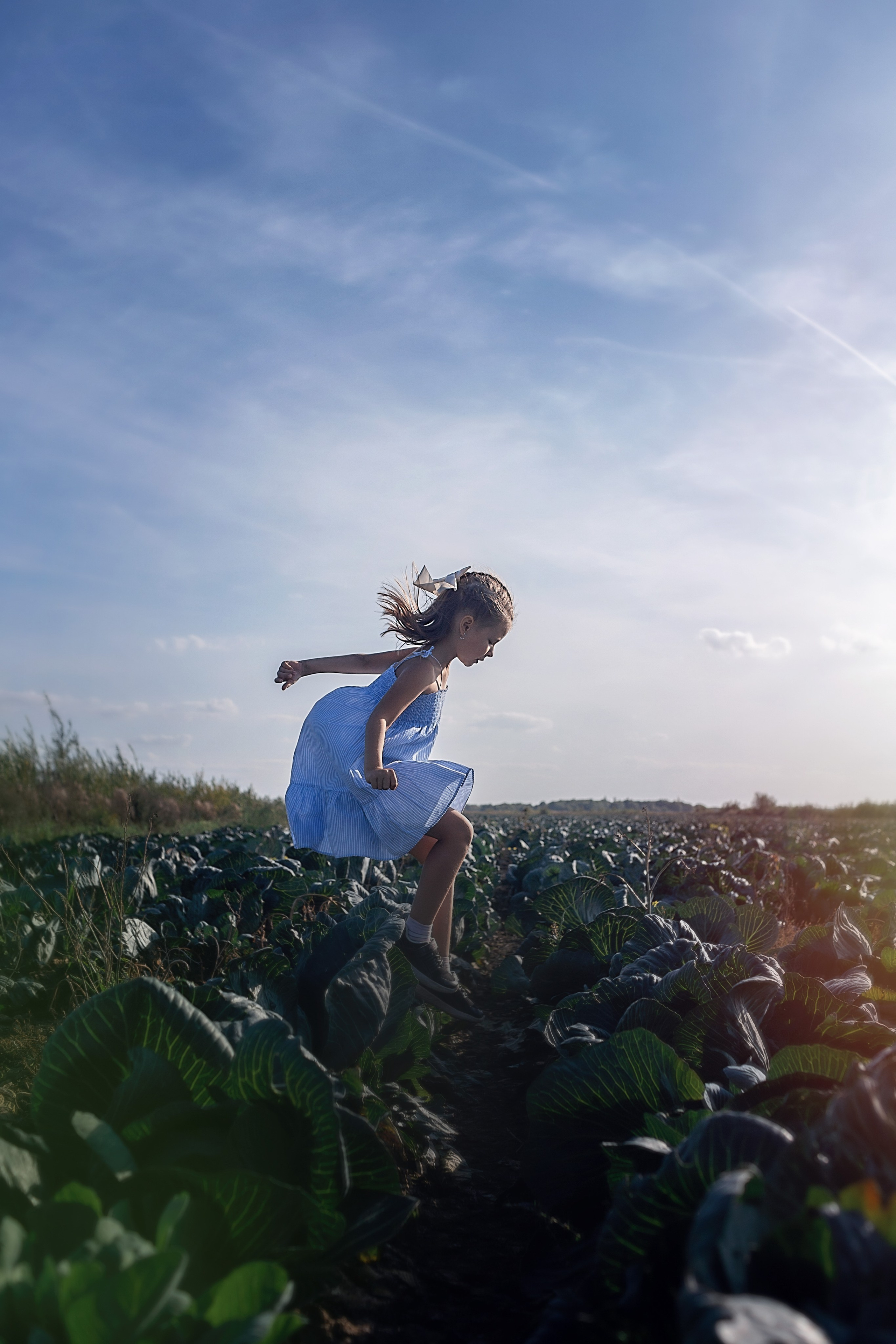 Капустное поле_Ленинградская область. Семейный фотограф в Санкт-Петербурге