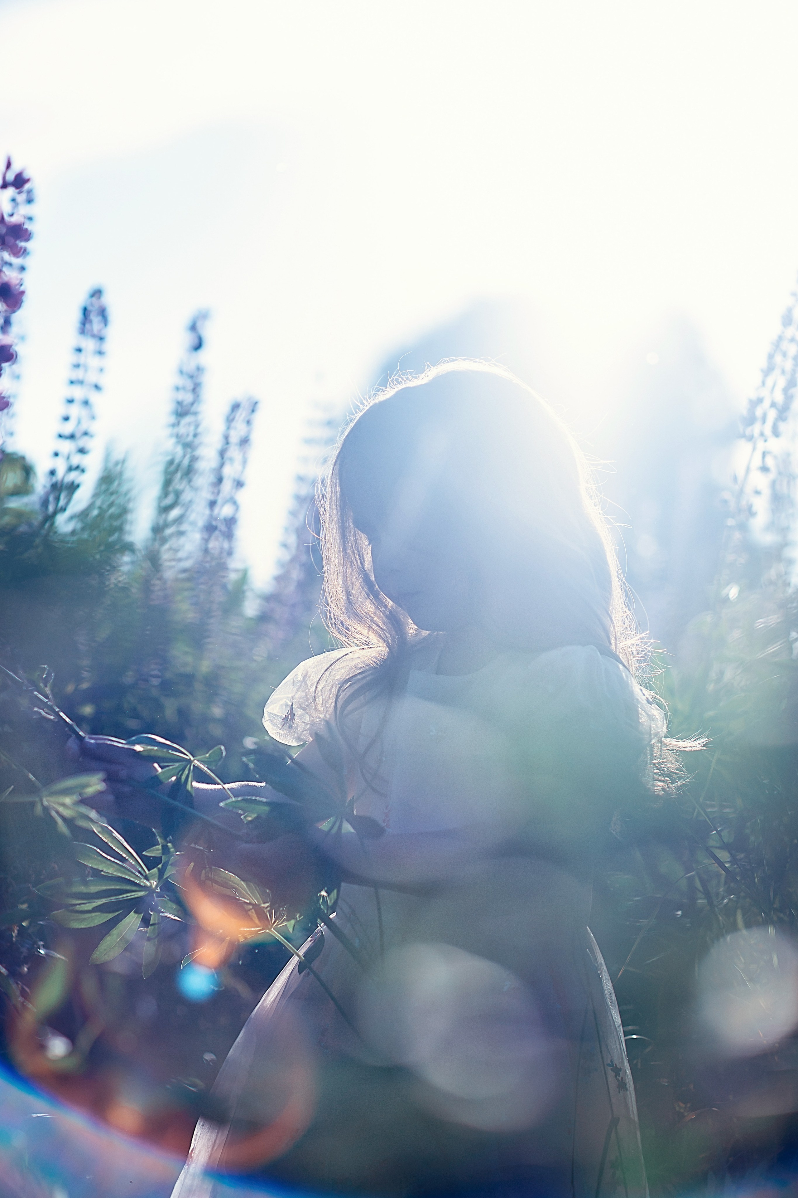 Люпины_Псковская область. Семейный фотограф в Санкт-Петербурге