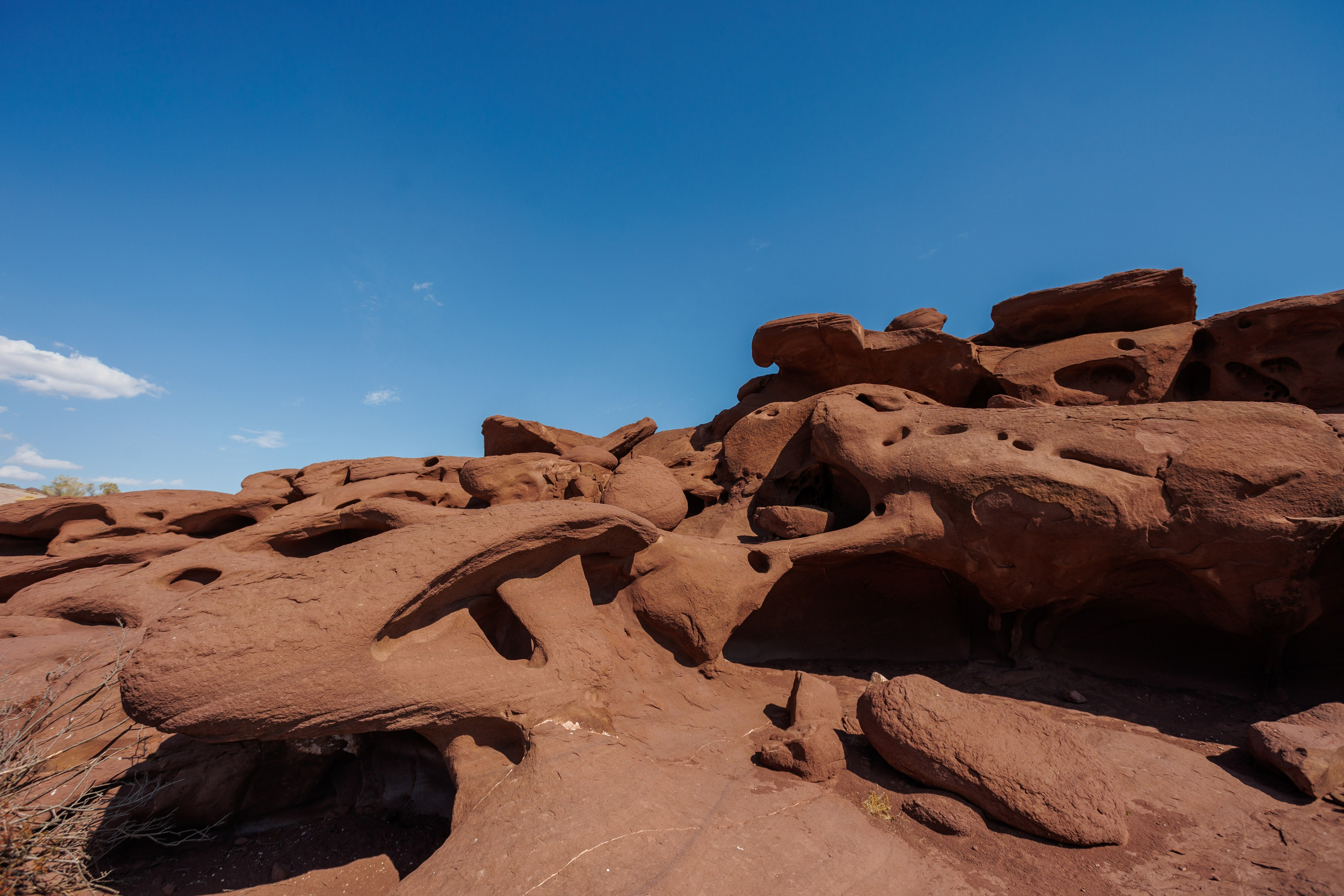 Алтын Эмель. Экскурсии и туры по Алматы