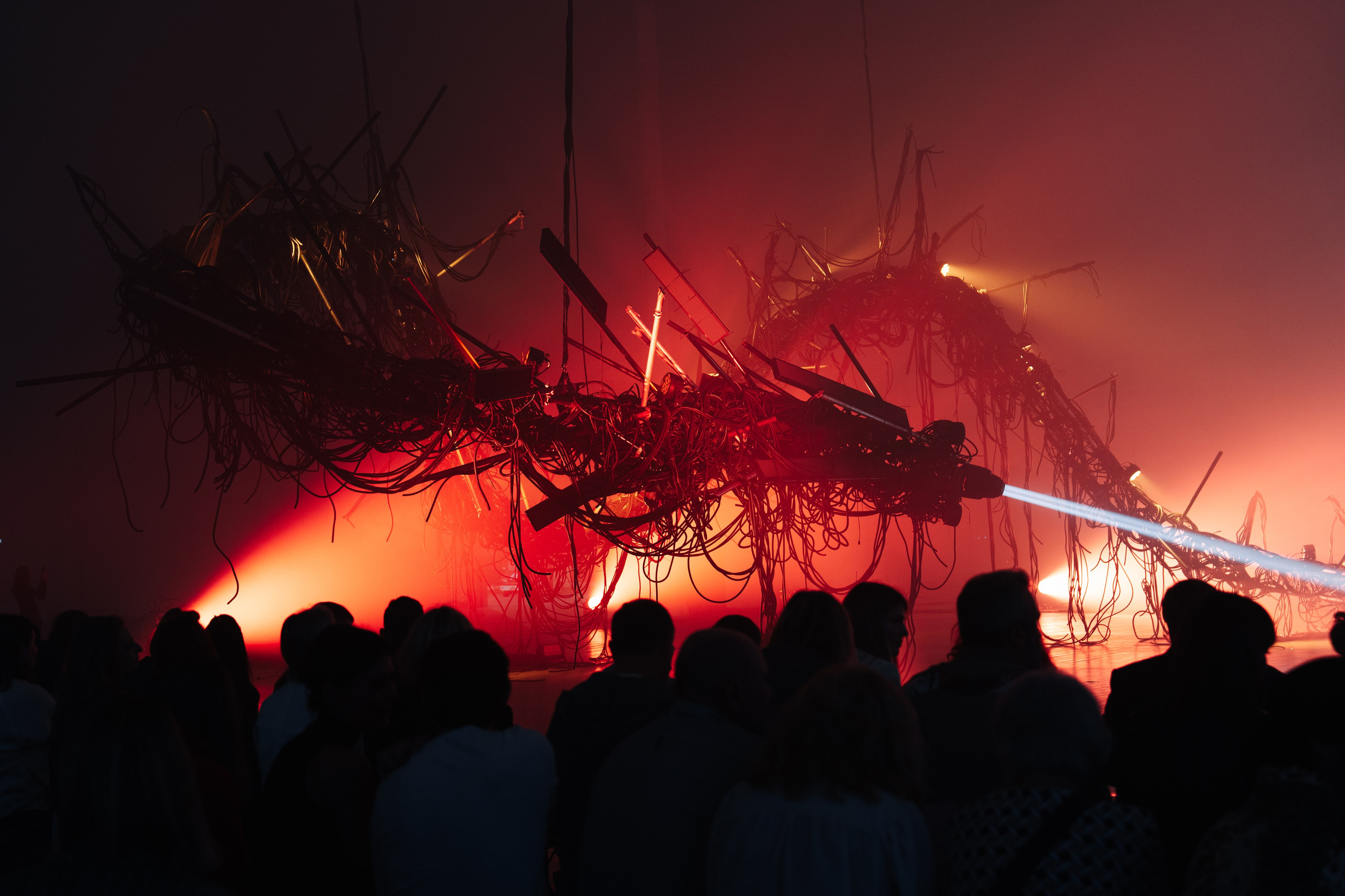 PERFORMA, The Hour of the Horse. @tomrus: Рустам Шагиморданов — фотограф