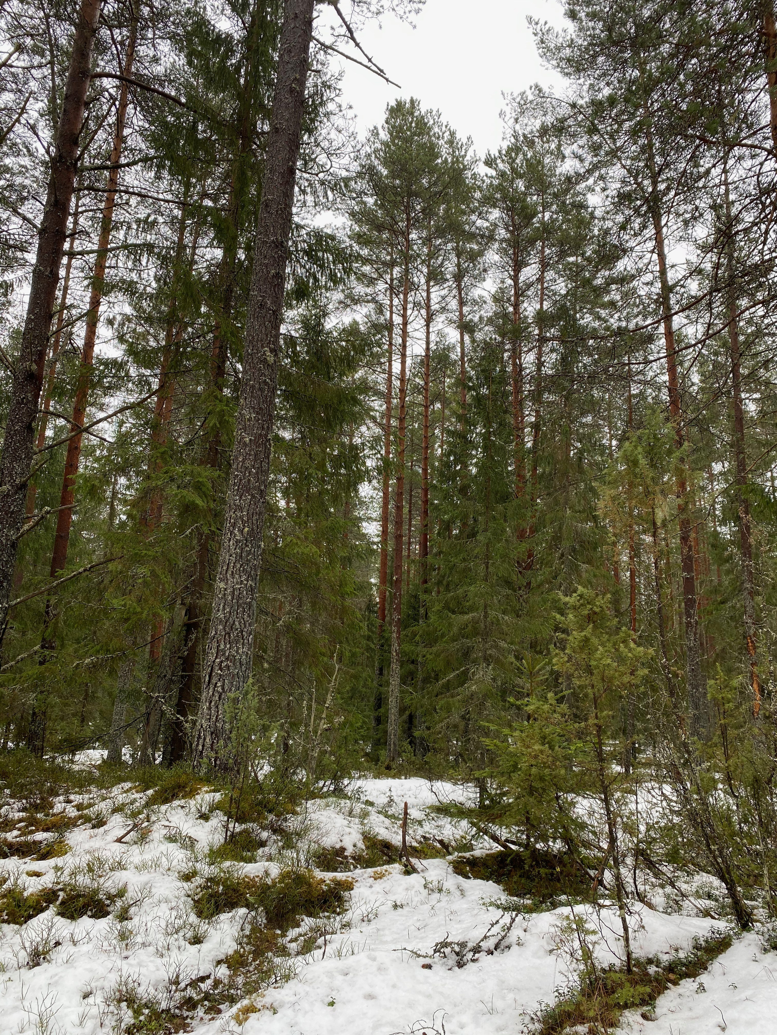 Вокруг Селигера-20. Своя Мастерская