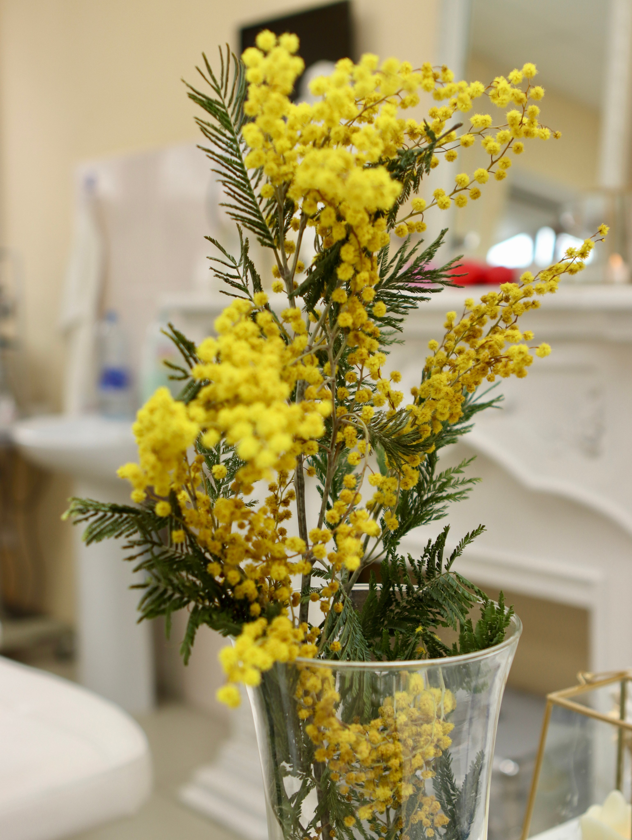 Медицинский центр «Олива». Фотограф в Курске Смирнов Евгений