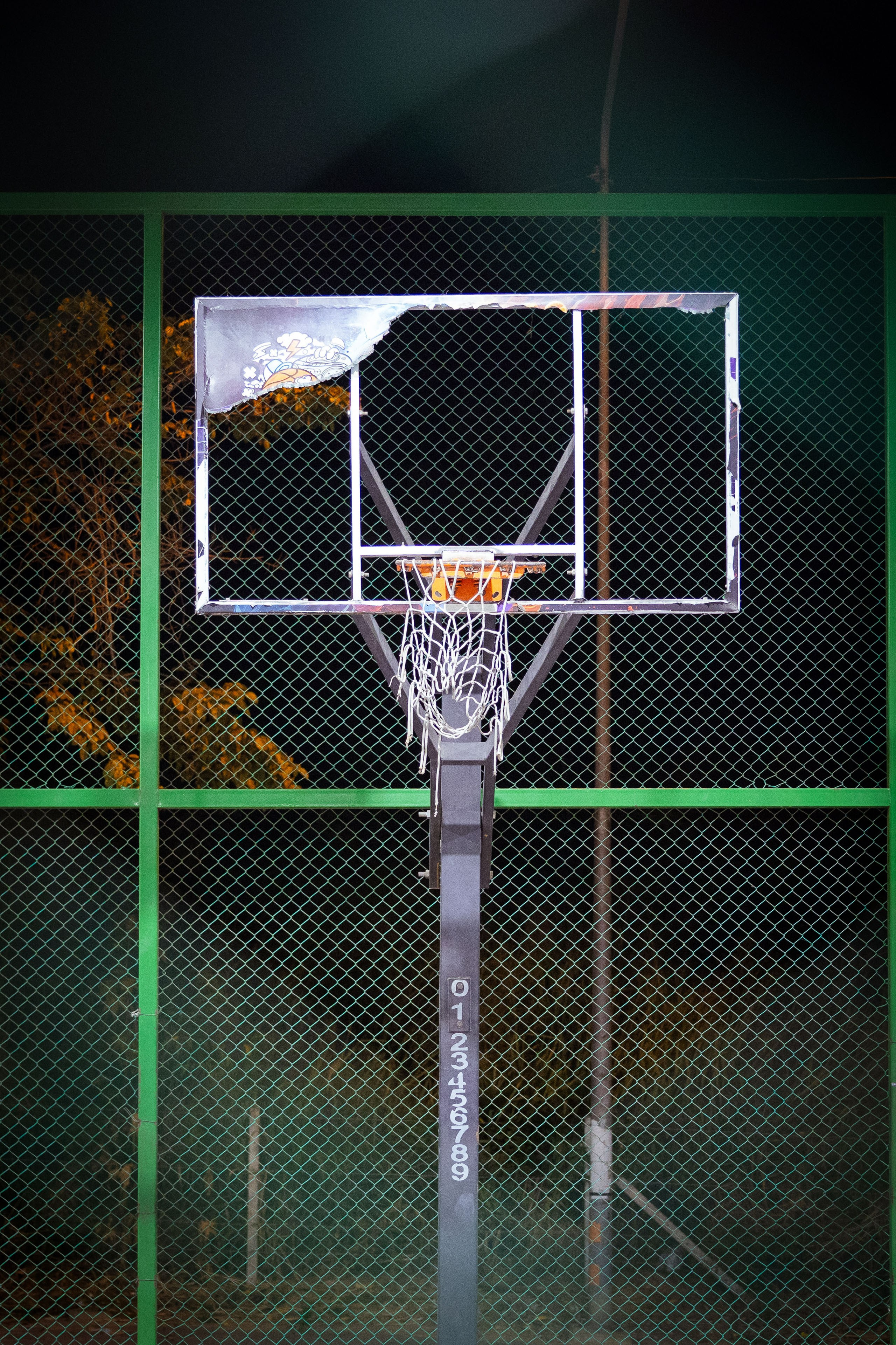 Таиланд (зима 2025). Фотограф Виноградов Константин