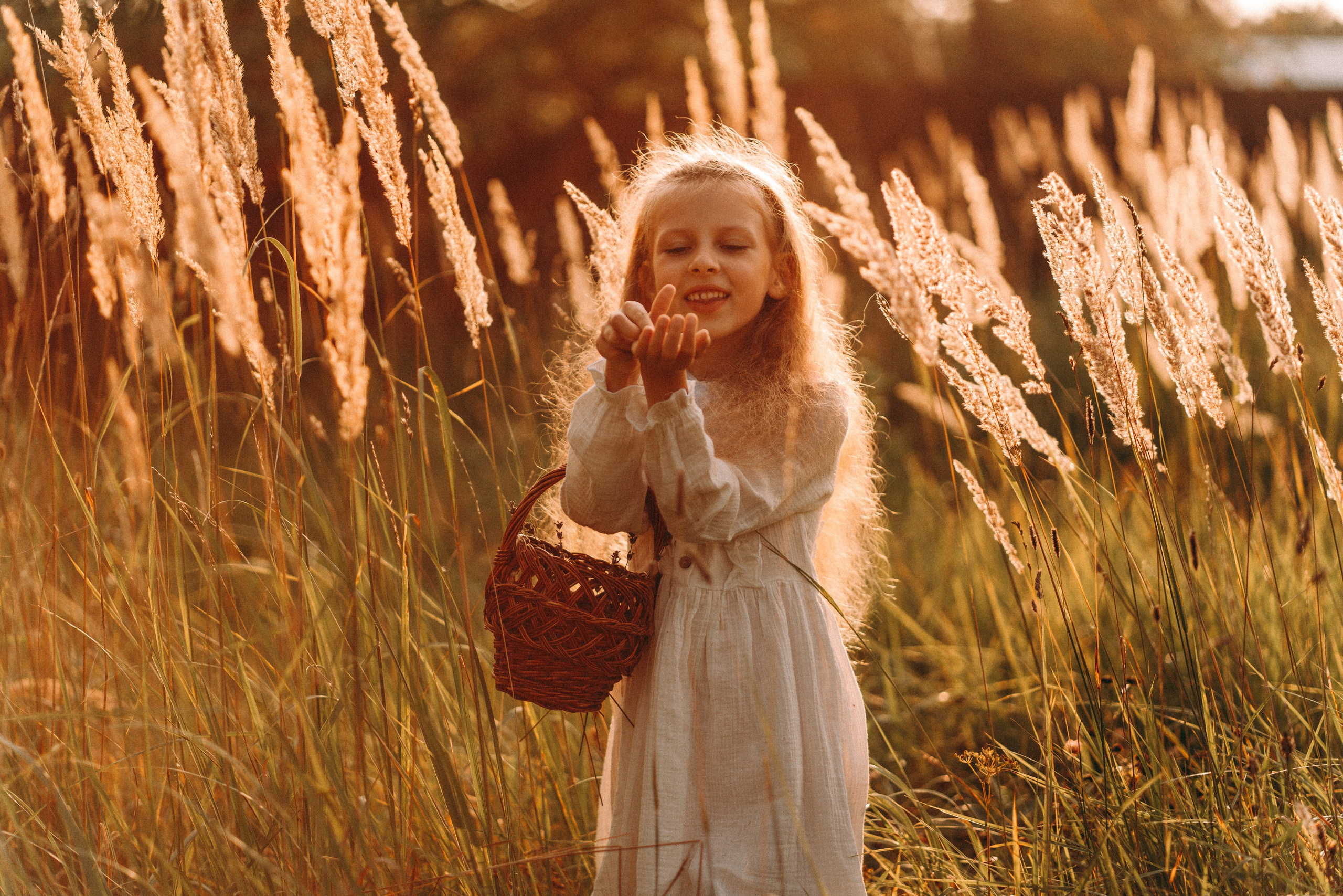 Летнее золото в волосах. Главная