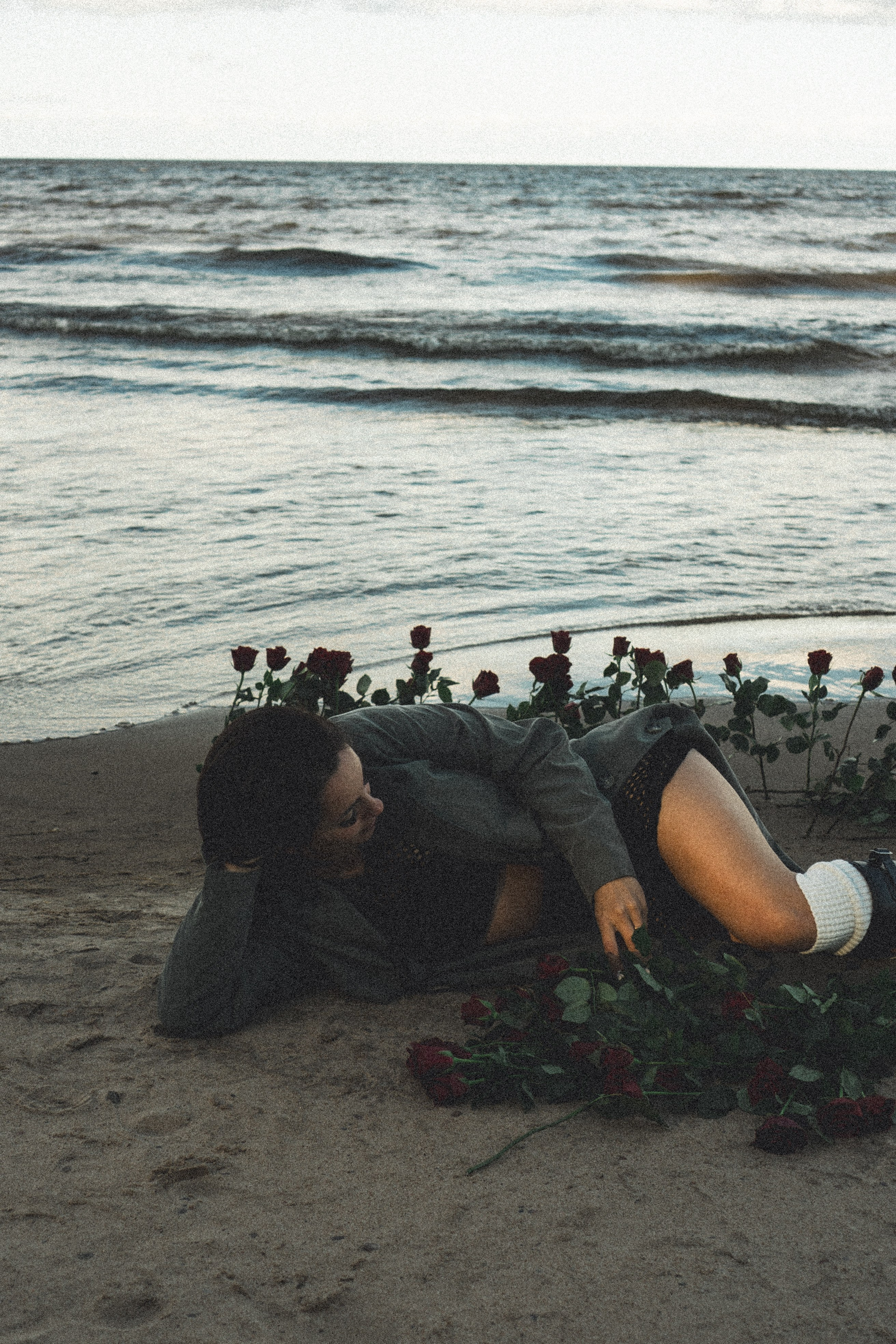 Розы. Профессиональный фотограф, Санкт-Петербург — Виктория Богомолова