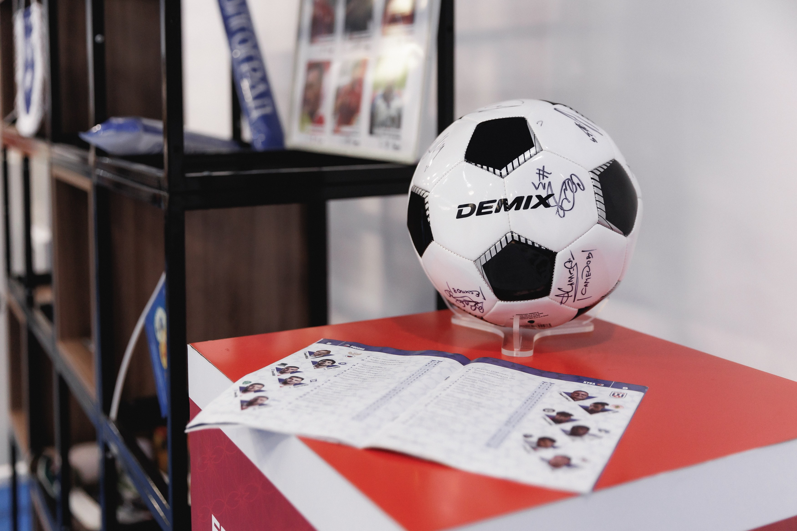 Давиду 7!. Фотограф в Волгограде — Александра Искандерова