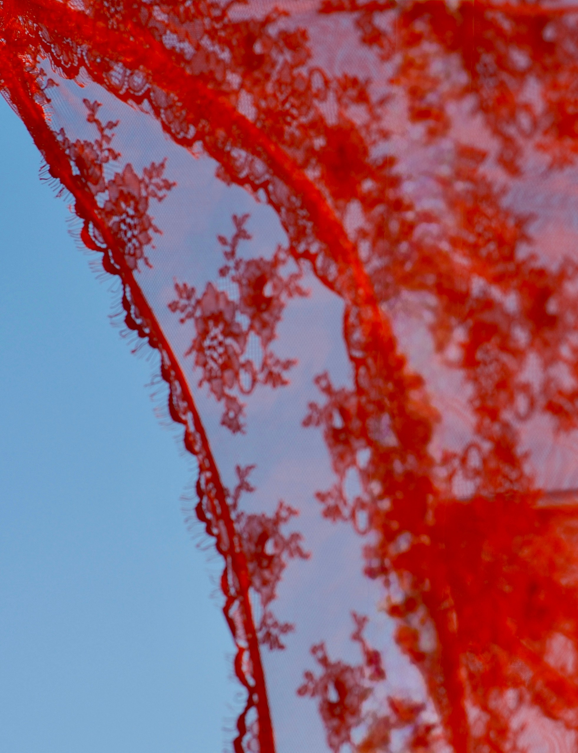 Праздники. Фотограф и художник в Москве Евгения Нюнина