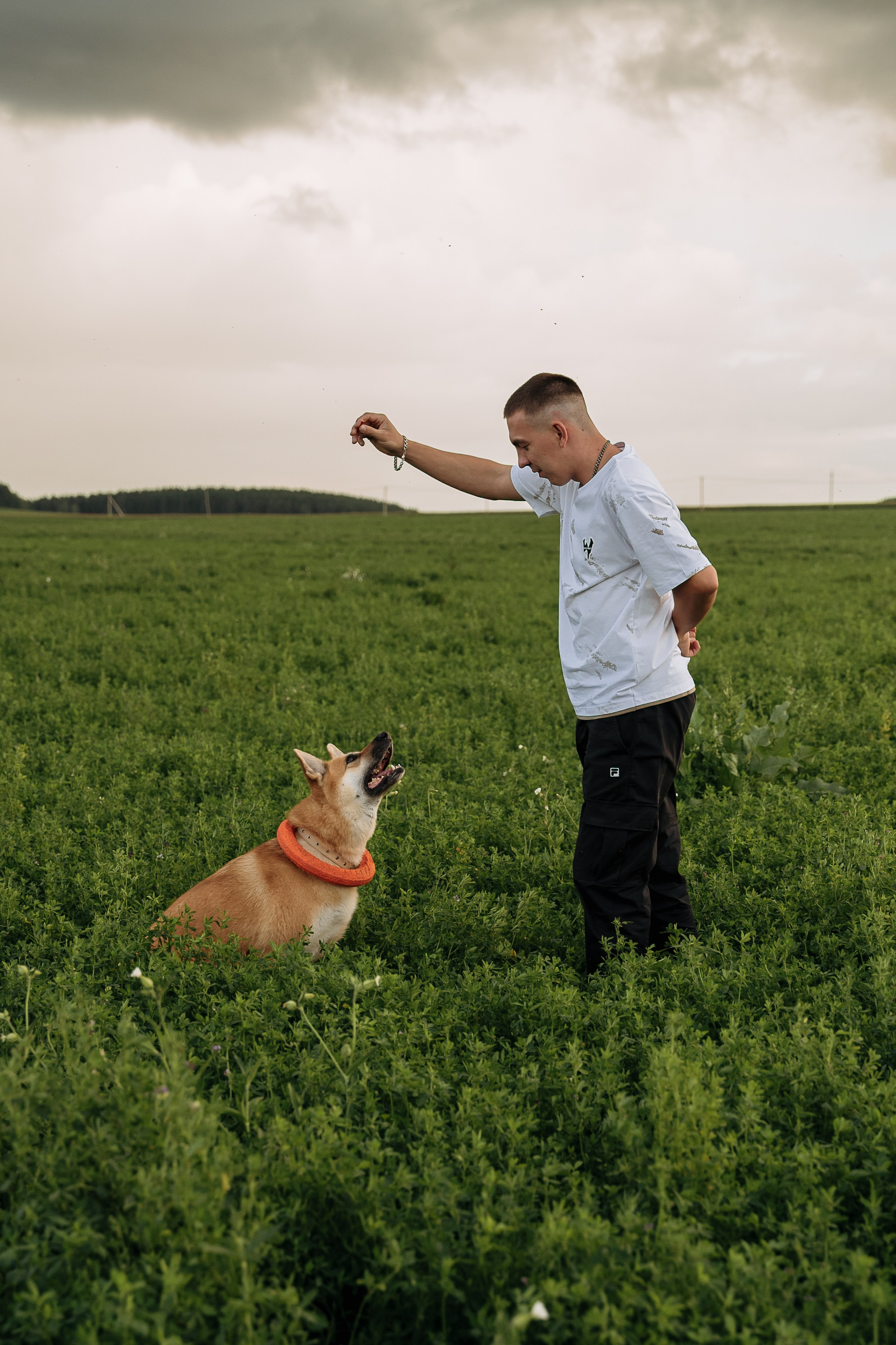 мужчина с собакой в поле, выполнение команд, игра