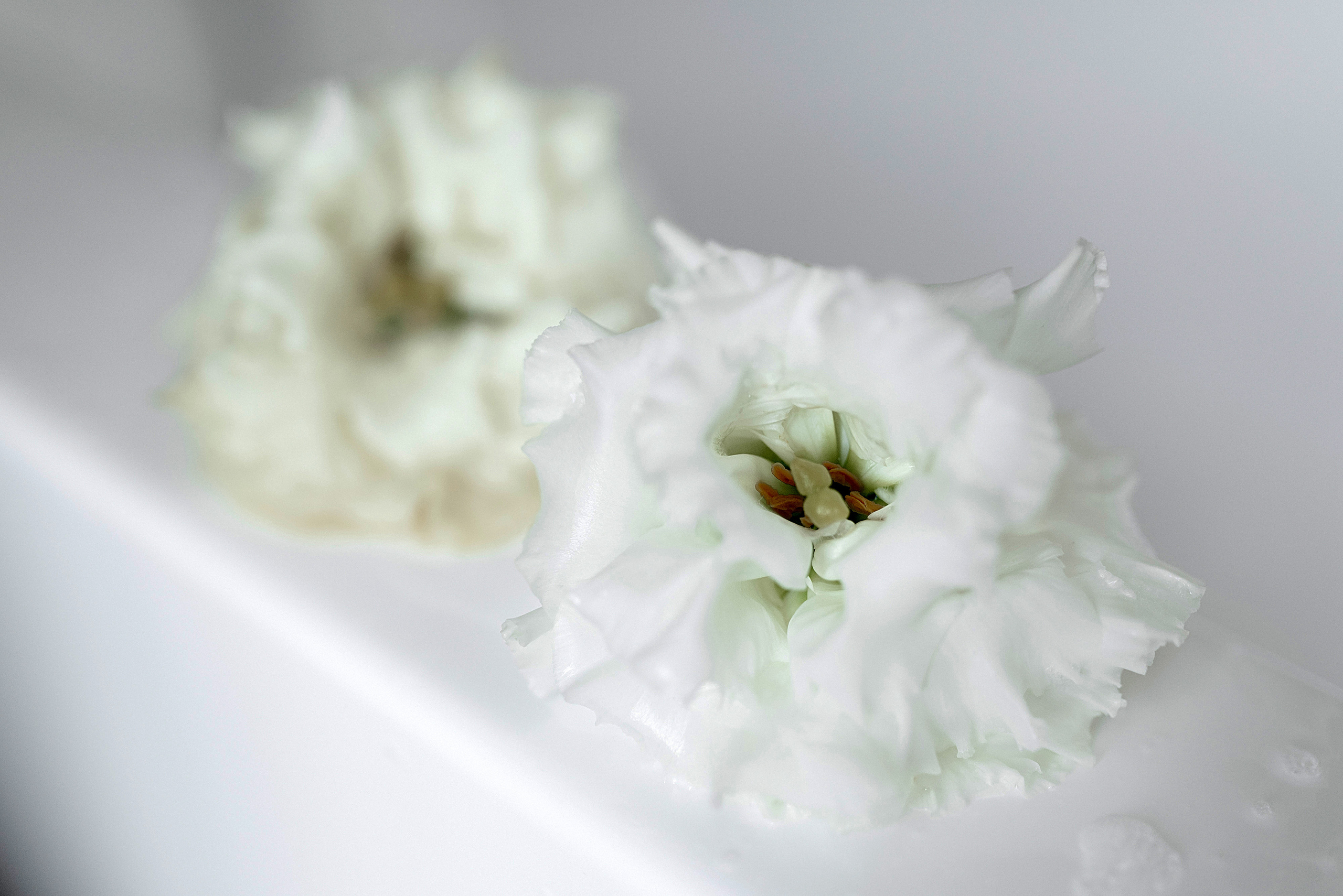 Дима & Лия. Свадебный и семейный фотограф Мария Ан