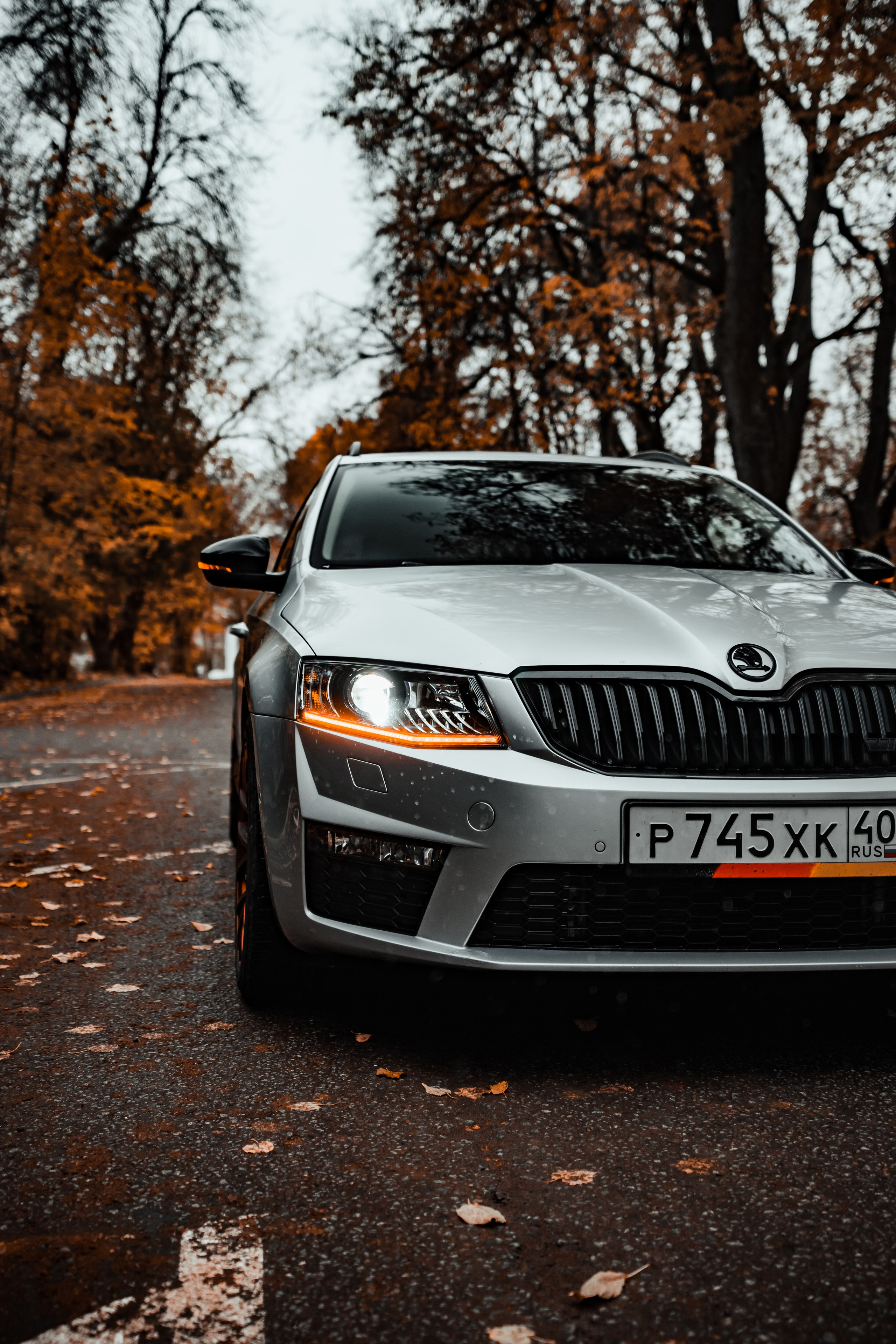 Skoda Octavia A7 v2.0. Vlad Trykov