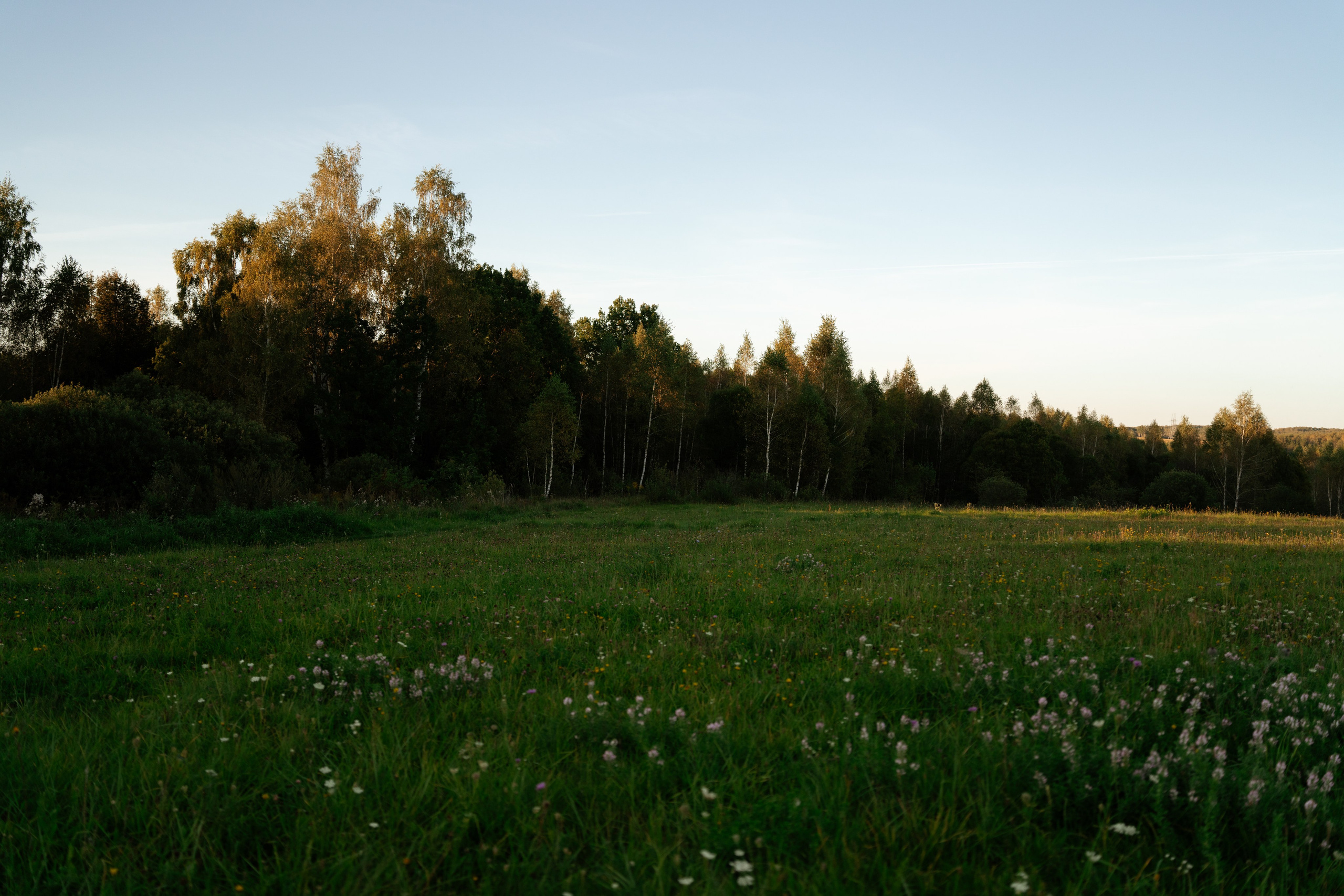 Дугна. Vlad Trykov