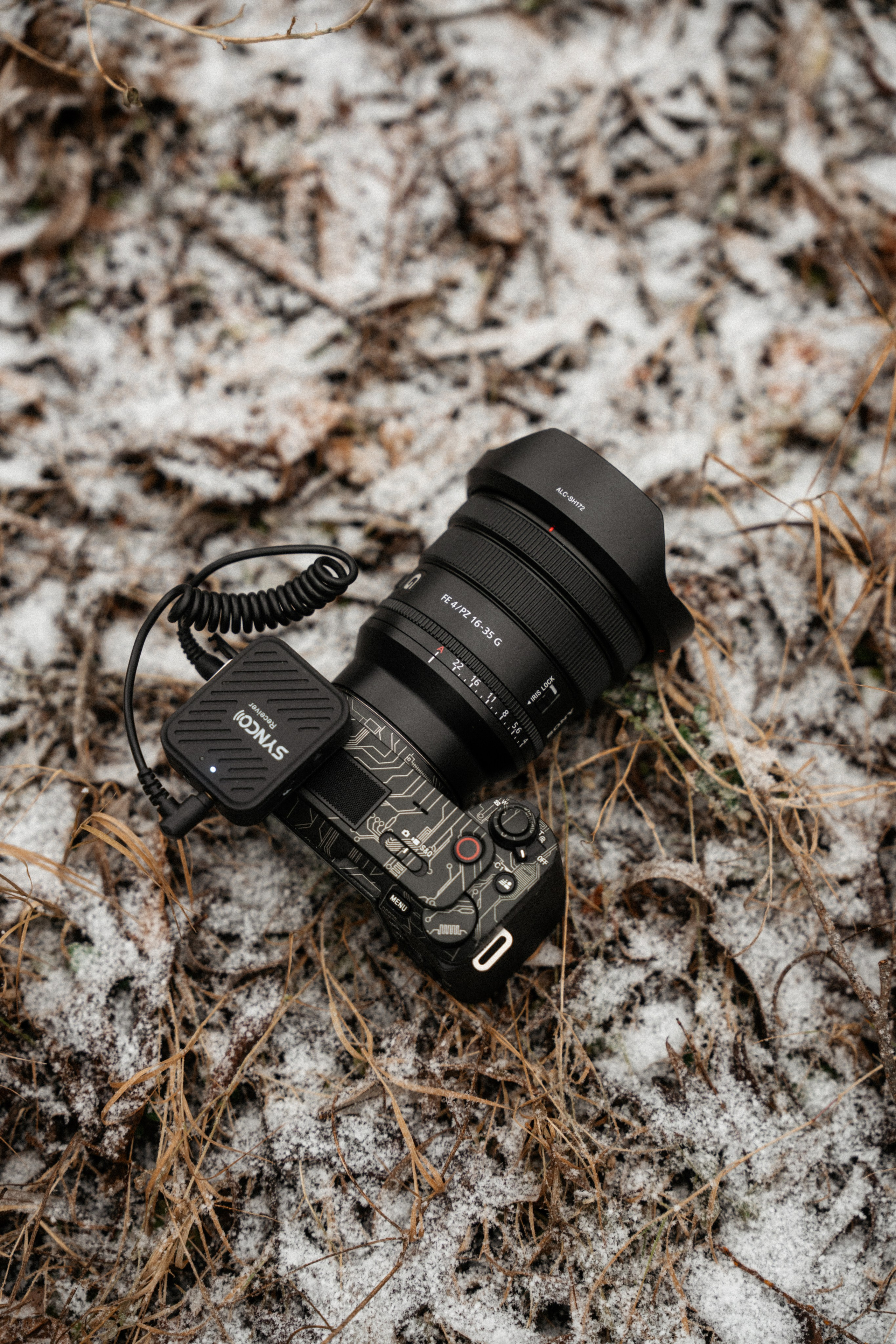 Прогулка по оврагу близ реки. Vlad Trykov