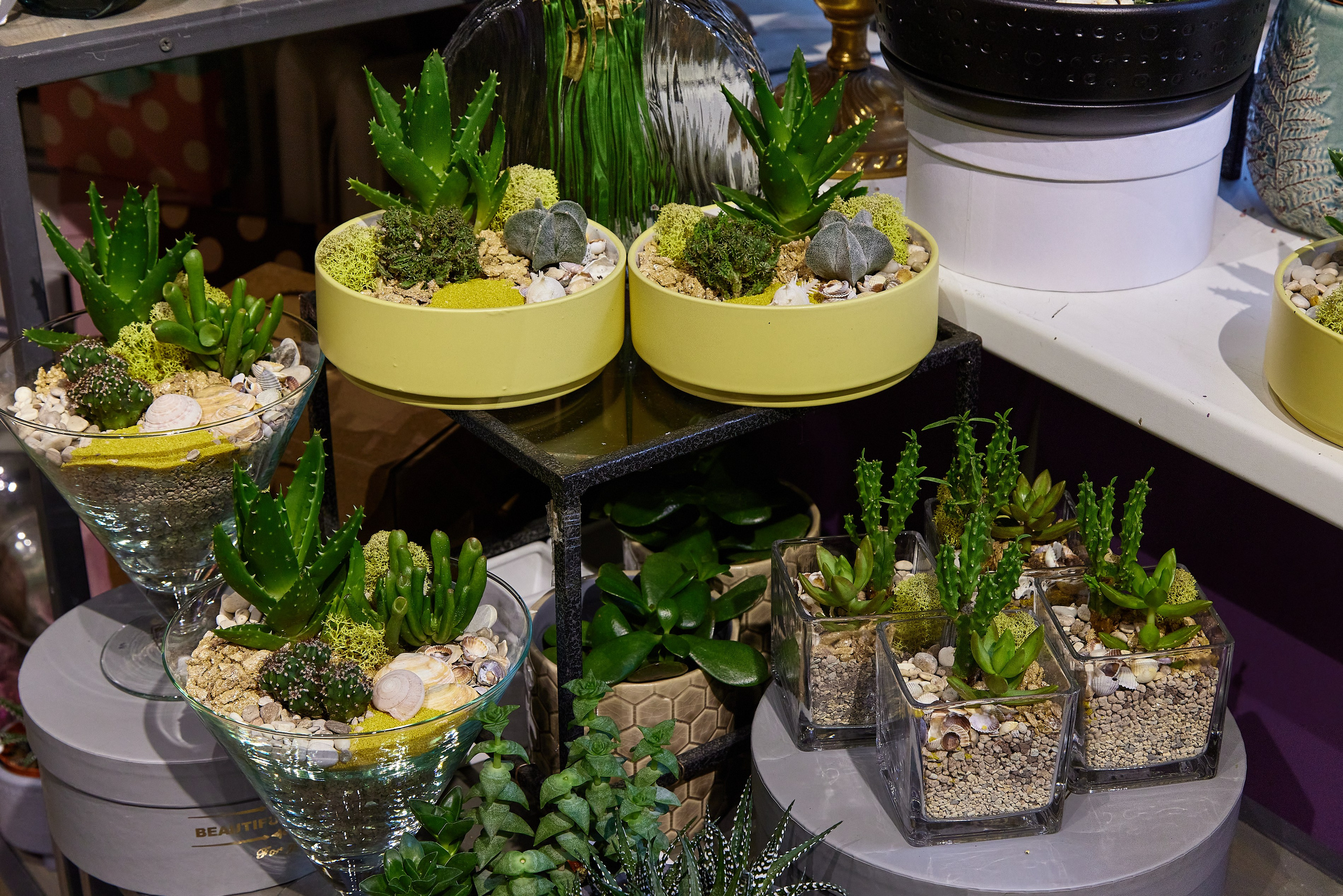 Студия флористики и дизайна Агава. Фотограф Анастасия Леонтьева Санкт-Петербург