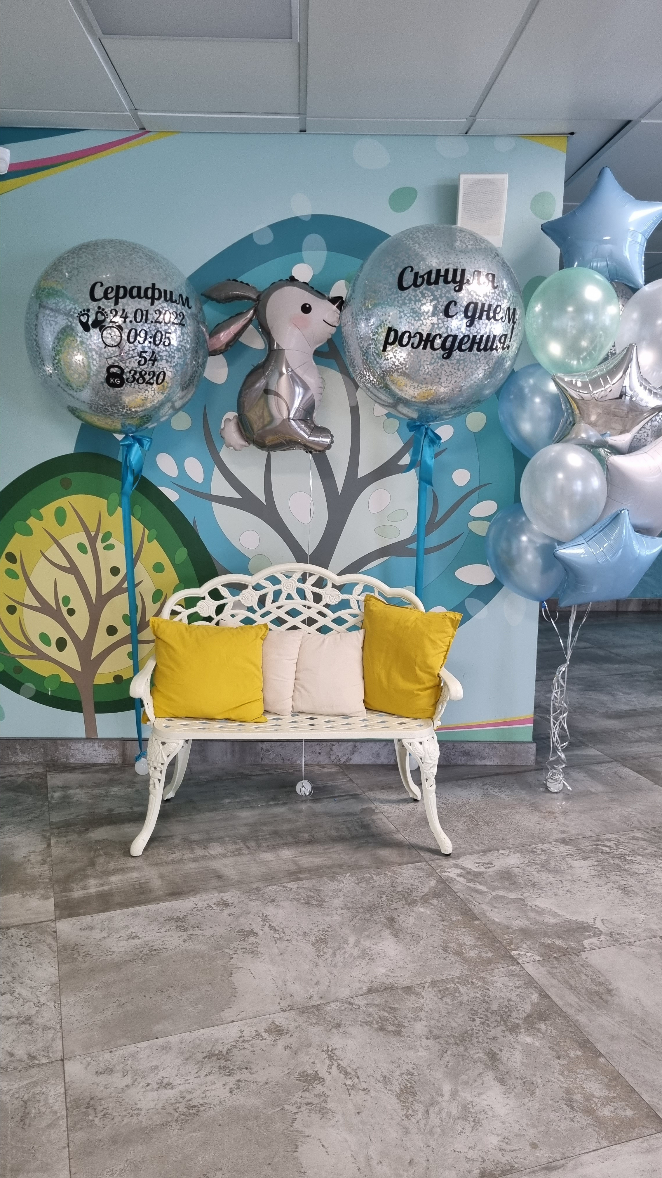 Фотограф в роддоме Сестрорецком г. Санкт-Петербург Банасиковская Ксения