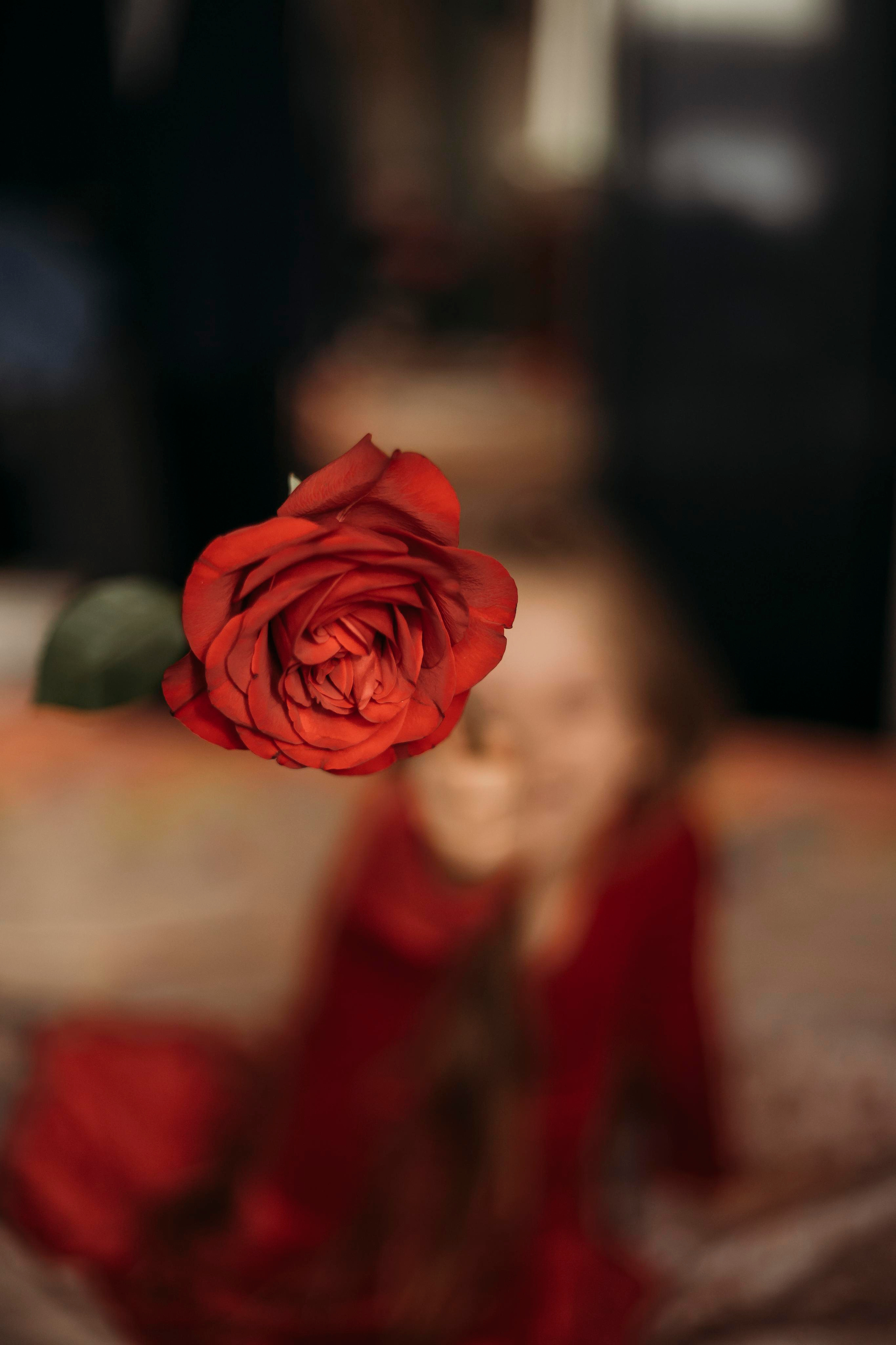 Светлана Ковешникова — детский и семейный фотограф в Москве