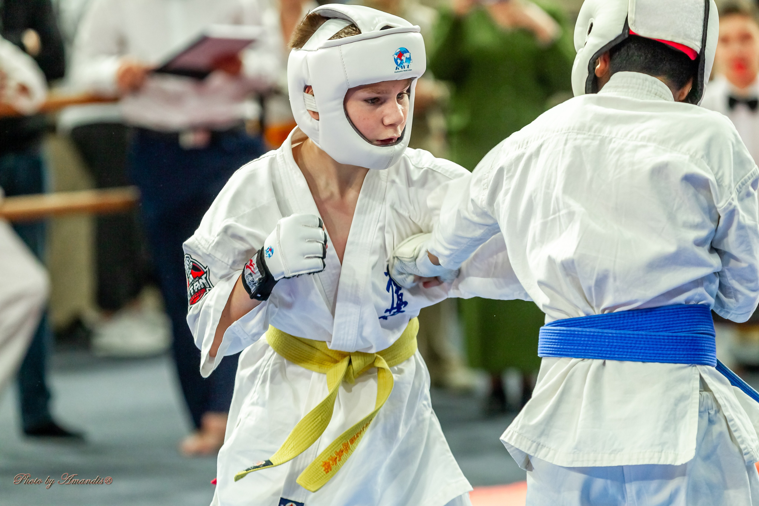 Первенство Московской области по Киокушин в СК «Жаворонки». Репортажная съемка в Москве и области. Анималистика