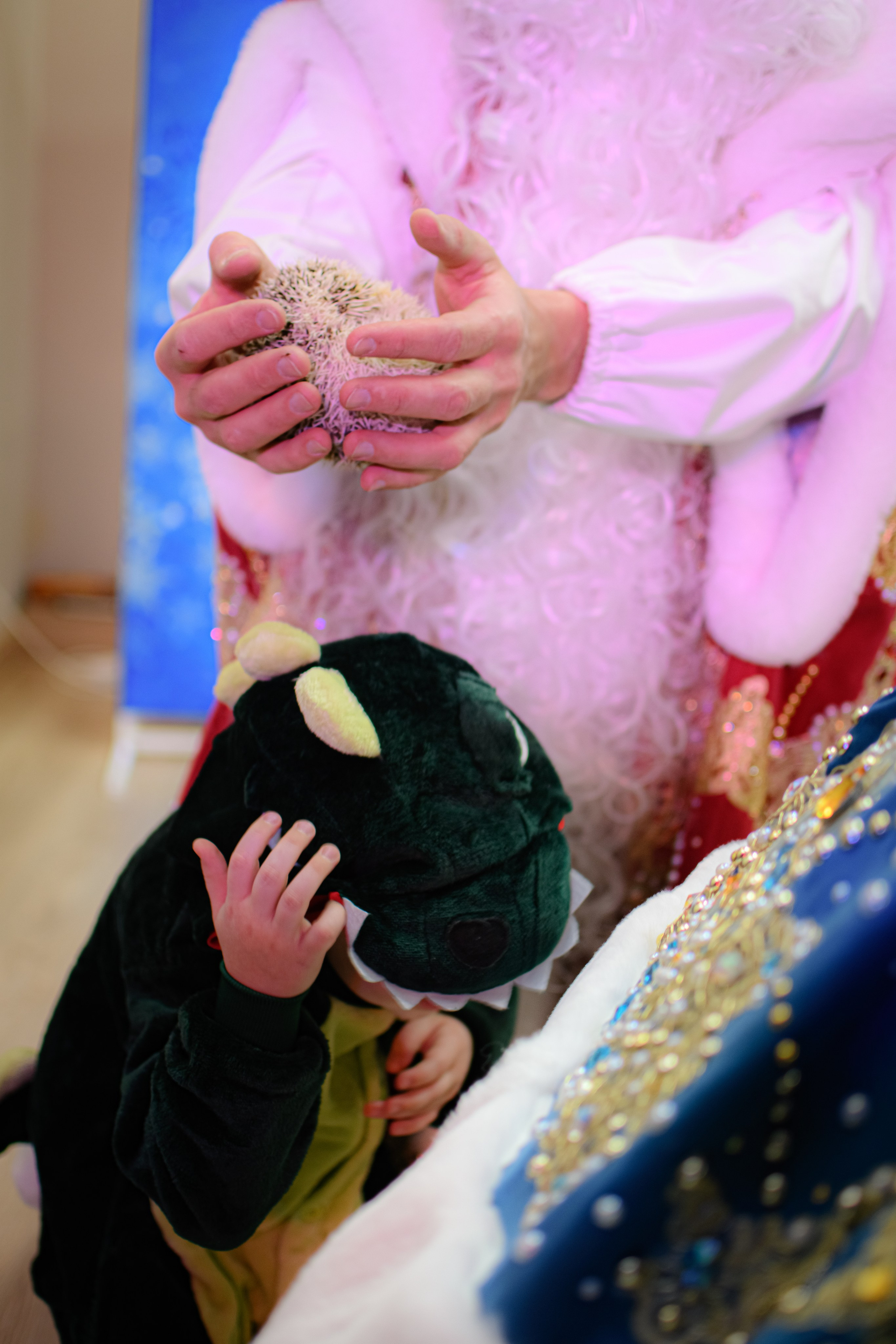 HAPPY NEW YEAR. Photokarish