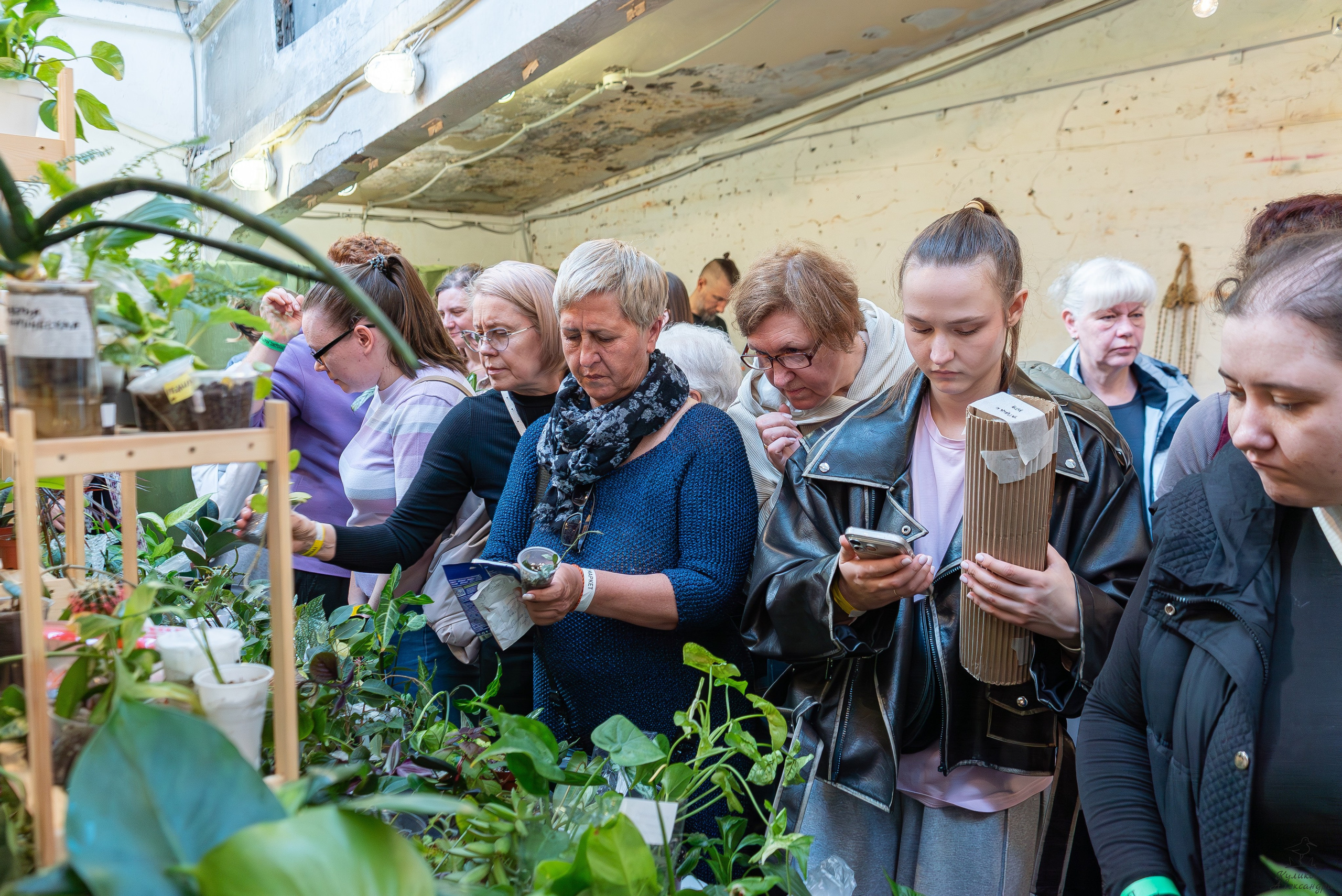 Гроубокс Артплей апрель. Александра Куликова фотограф, Москва