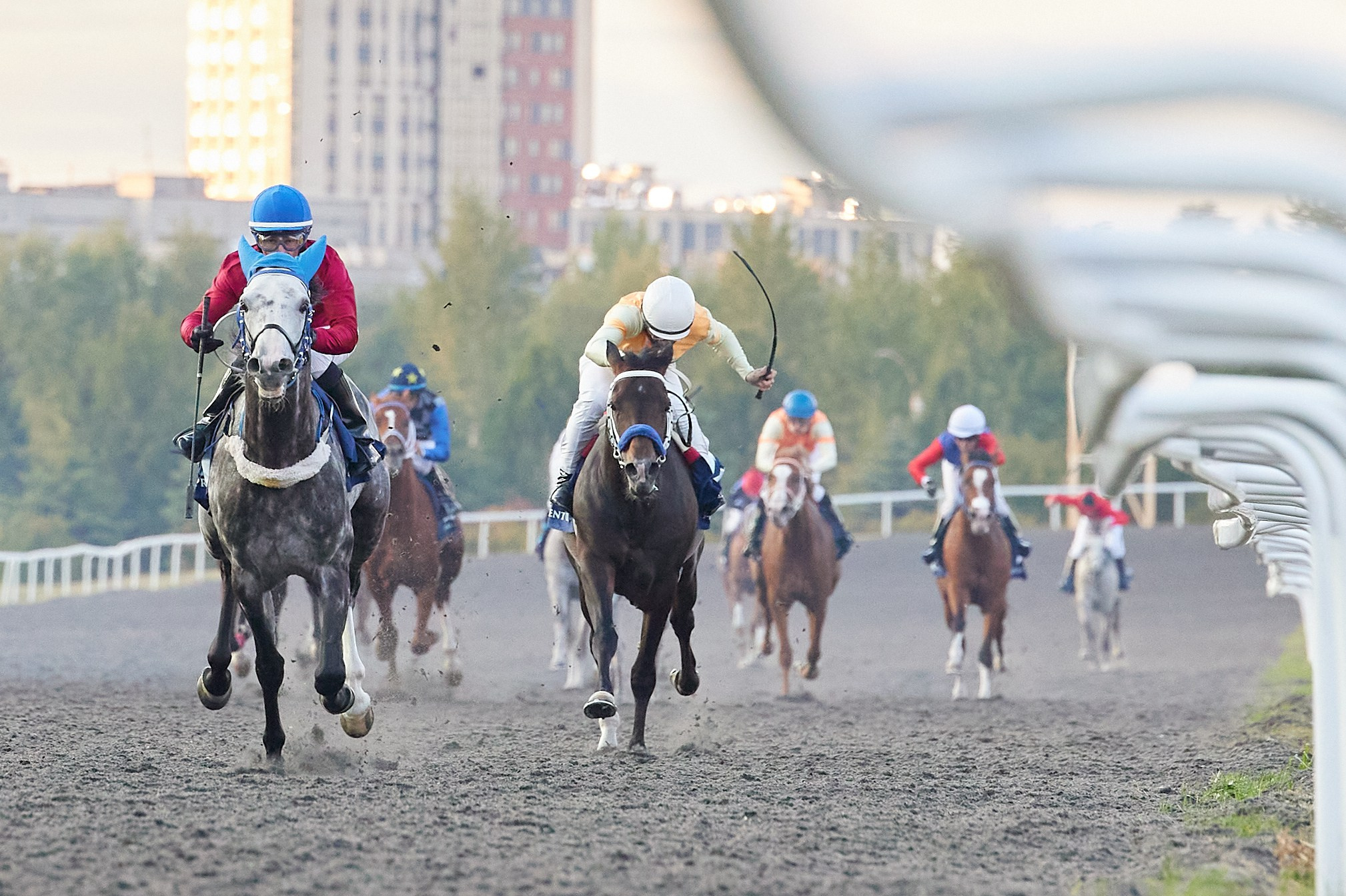 Казанский Ипподром. Соревнования. Мое имя Раиль. Я репортажный фотограф в Казани, так же мой любимый жанр — свадебный фотограф