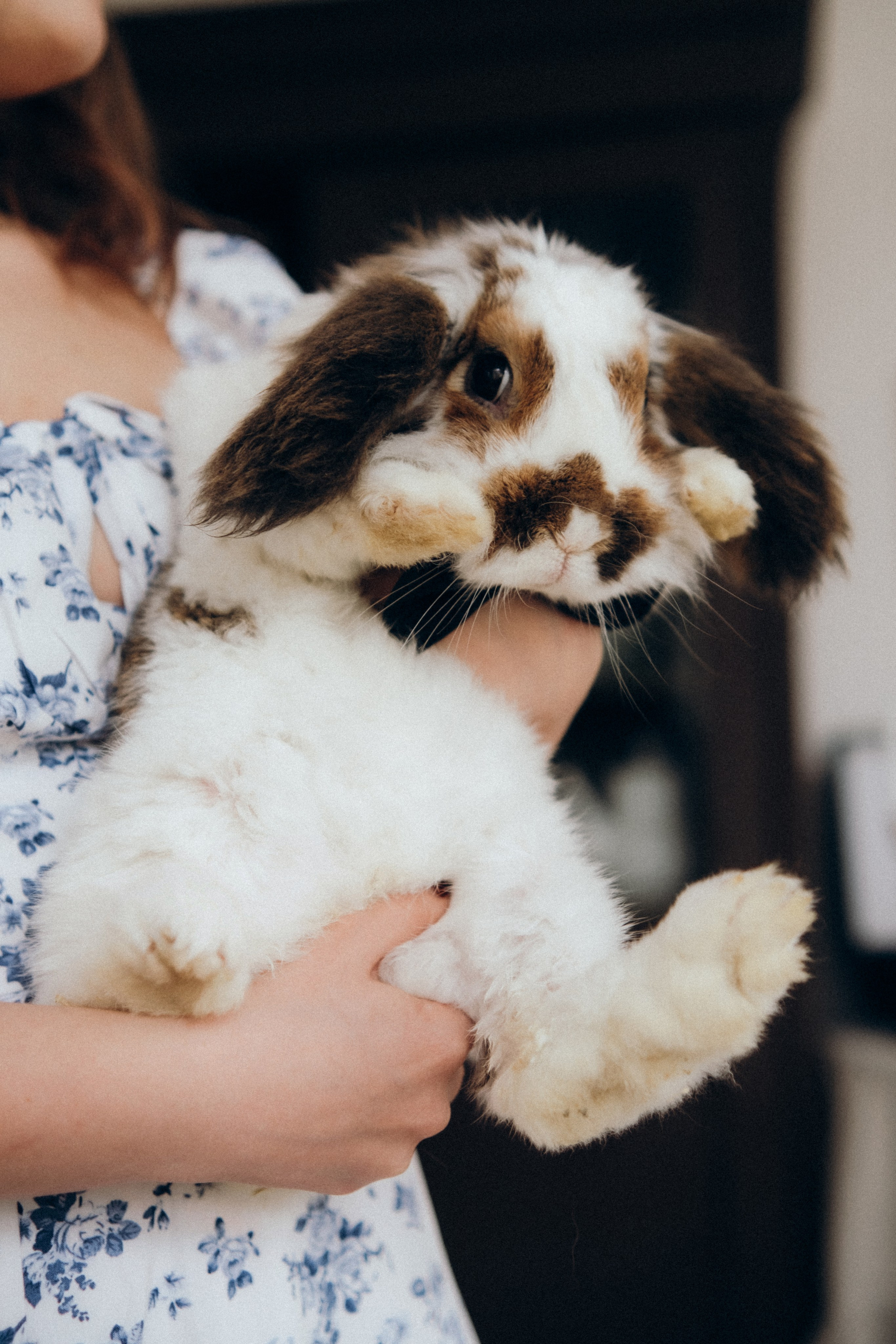 Лиза, Андрей, Том и Джерри (Balcone Studio). Фотограф в Санкт-Петербурге Кристина Брянская