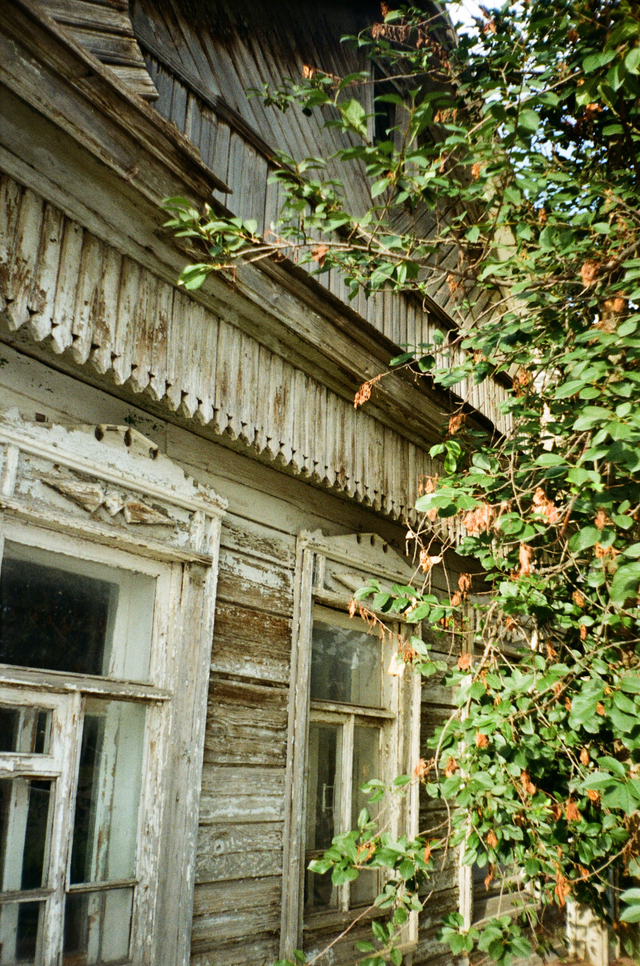 Film dairy. ㅤ