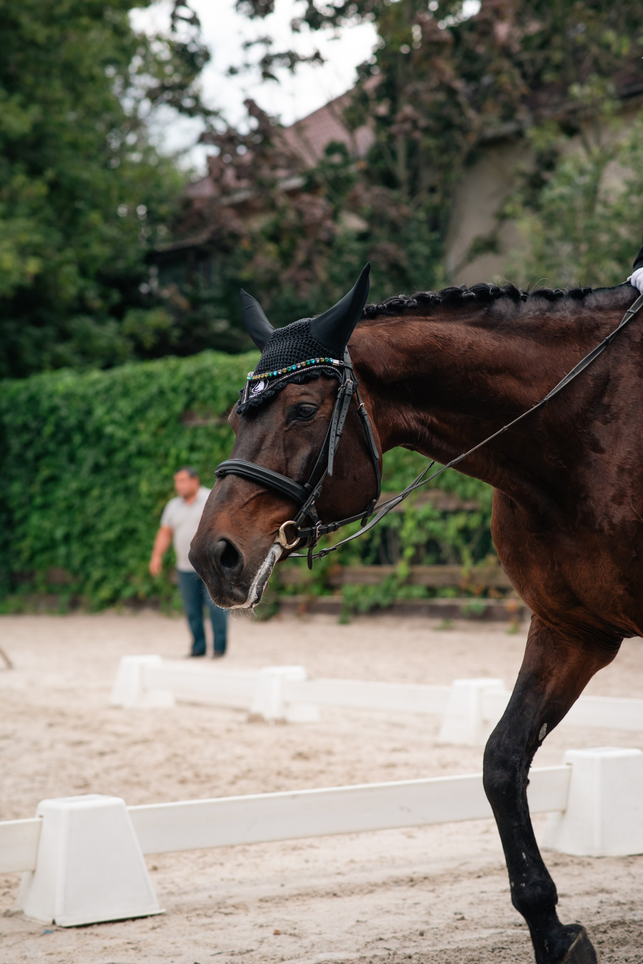 Выездка 10.08.25. Фотограф, визажист. Москва